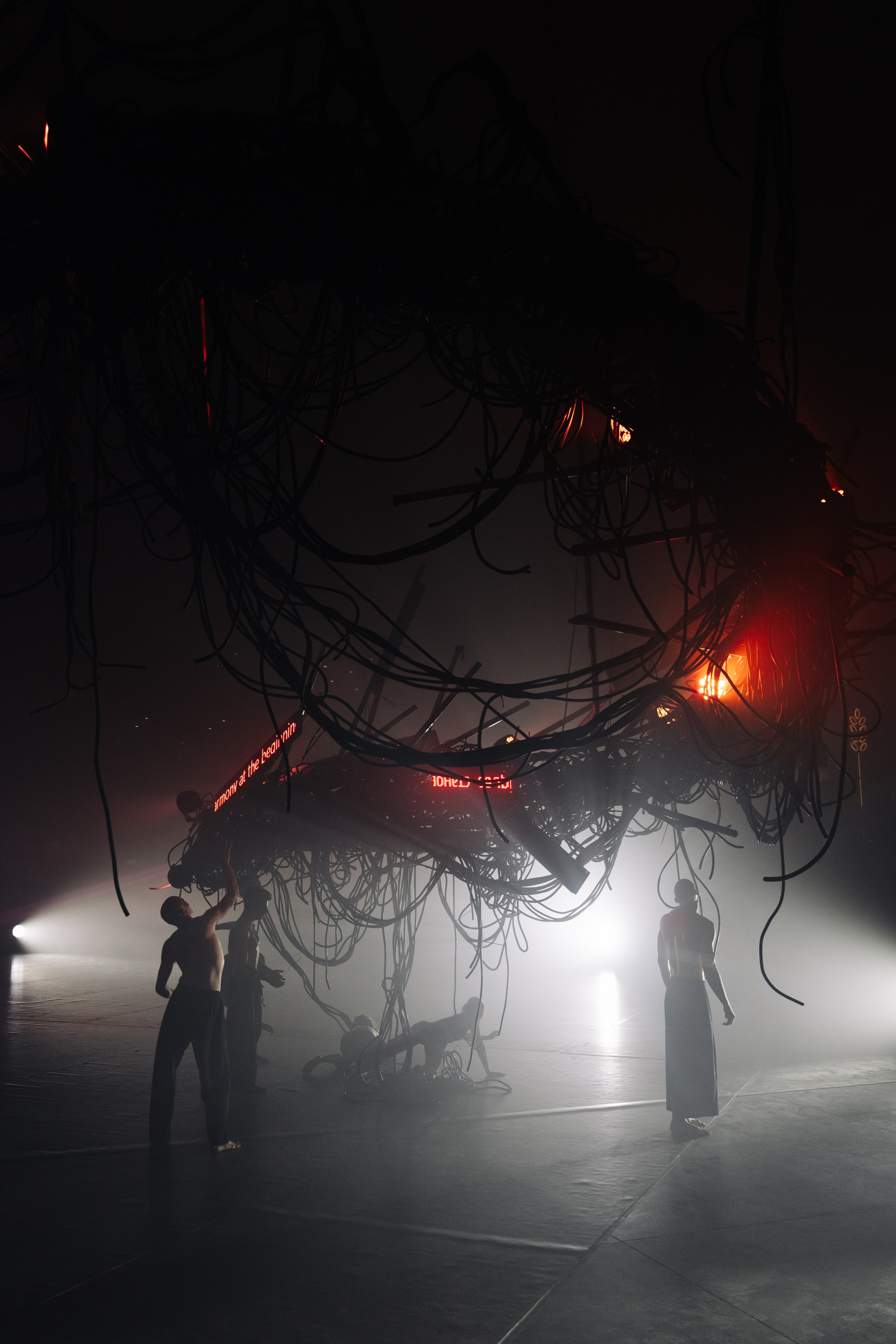 PERFORMA, The Hour of the Horse. @tomrus: Рустам Шагиморданов — фотограф