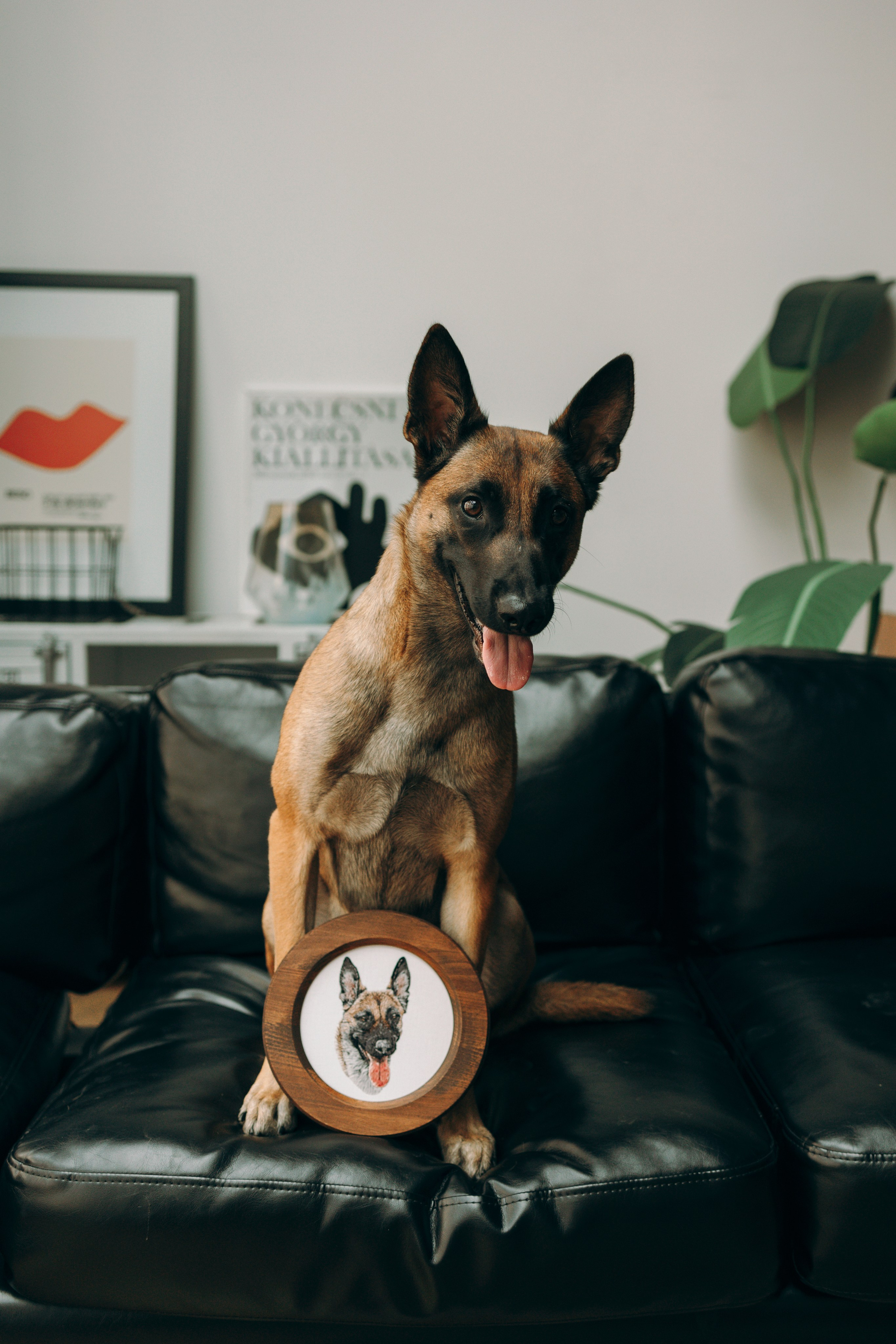 Портфолио. Портретная вышивка питомцев