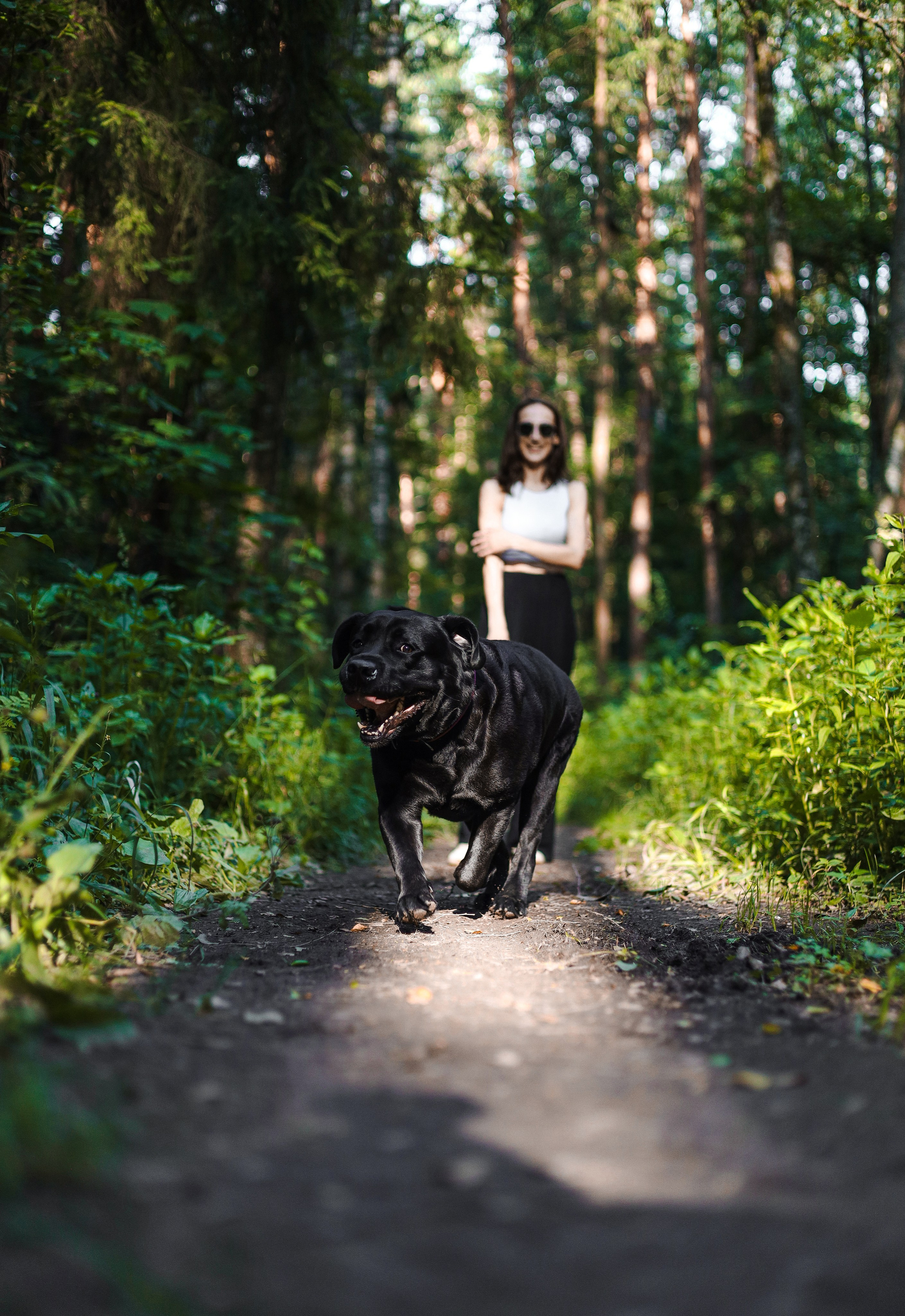 Найт и Соня. Фотограф-анималист Ксения Шевцова|Москва