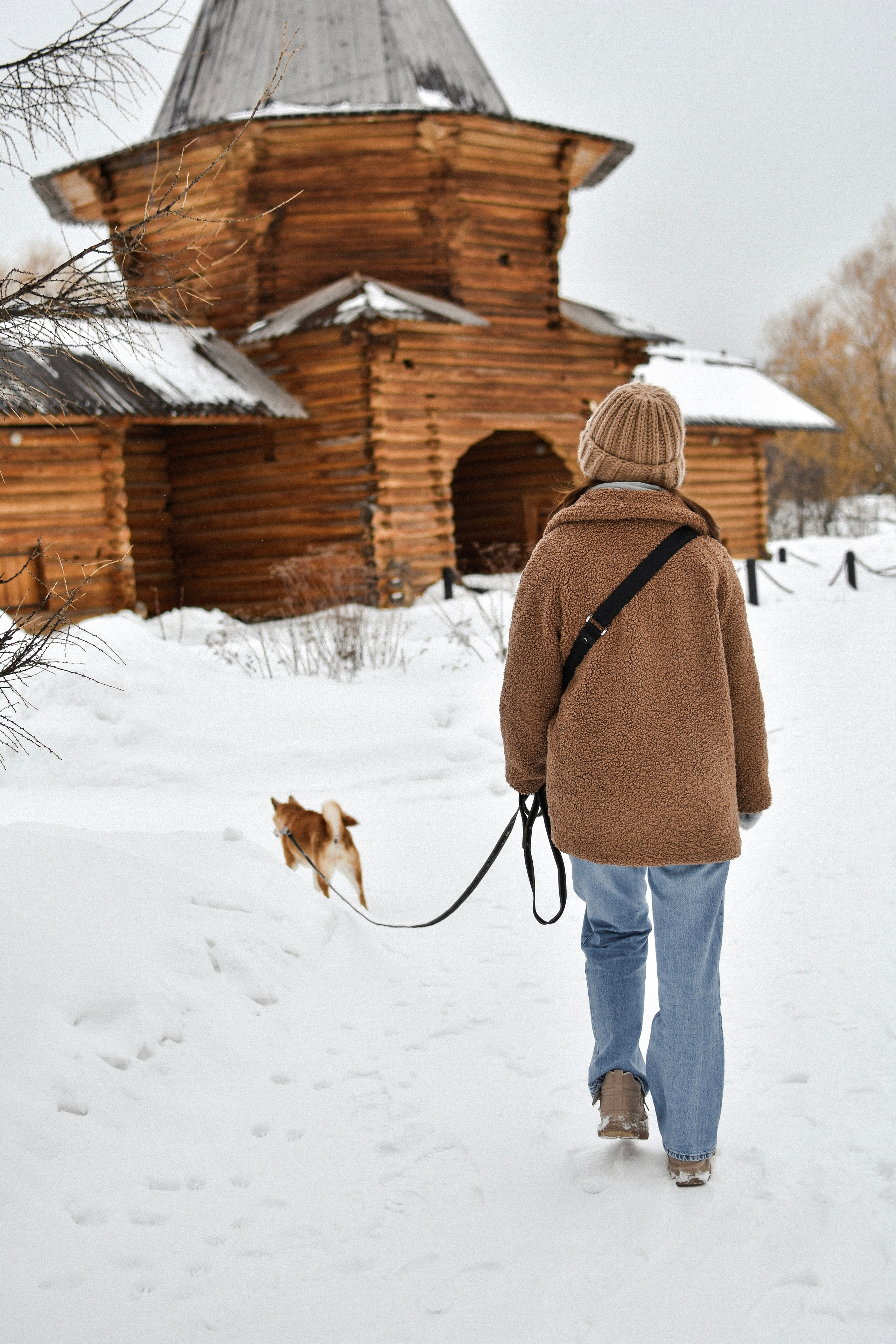 Ханна и Даша. Фотограф-анималист Ксения Шевцова|Москва