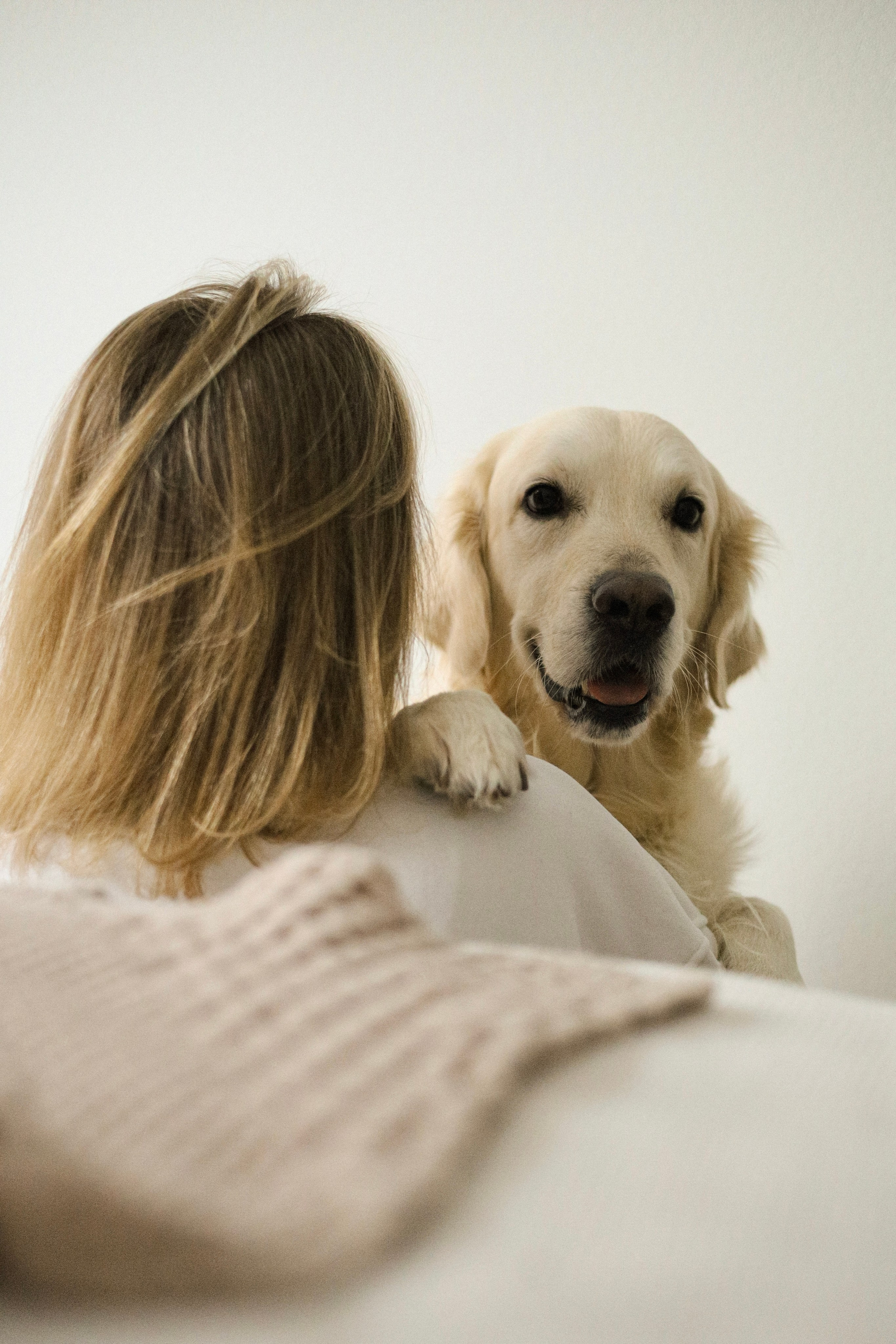 Зиз и Юля. Новогодняя. Фотограф-анималист Ксения Шевцова|Москва