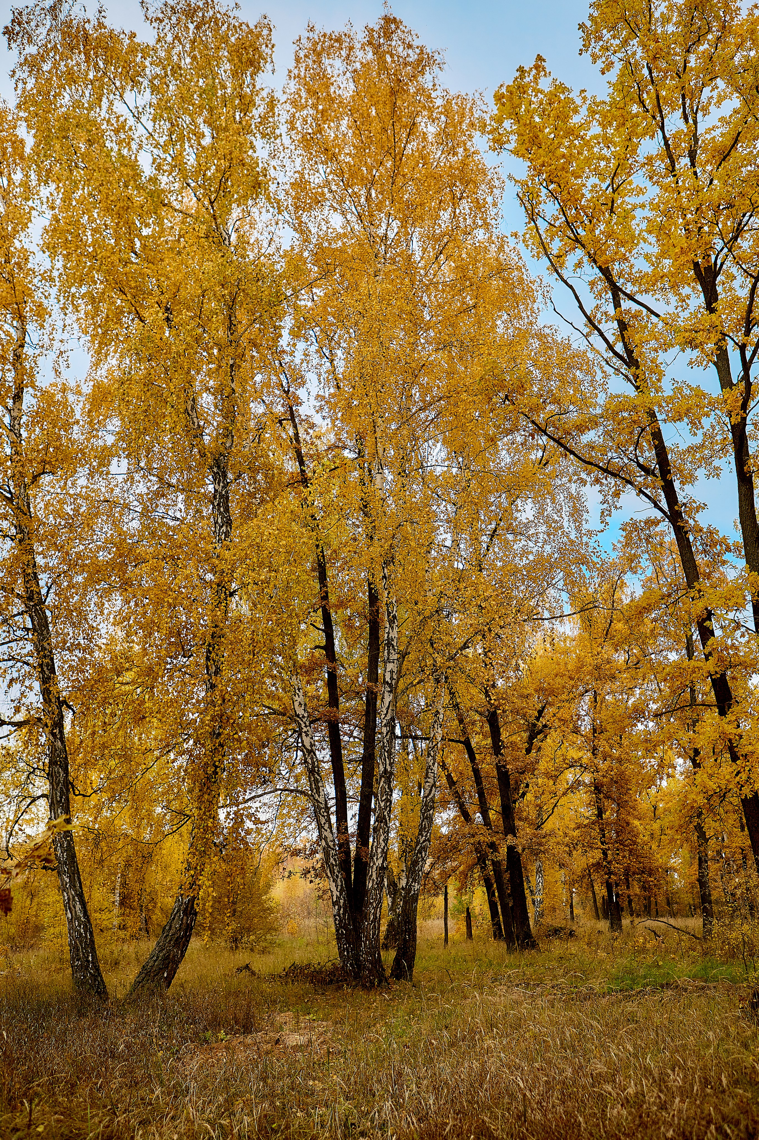 Фотографии природы