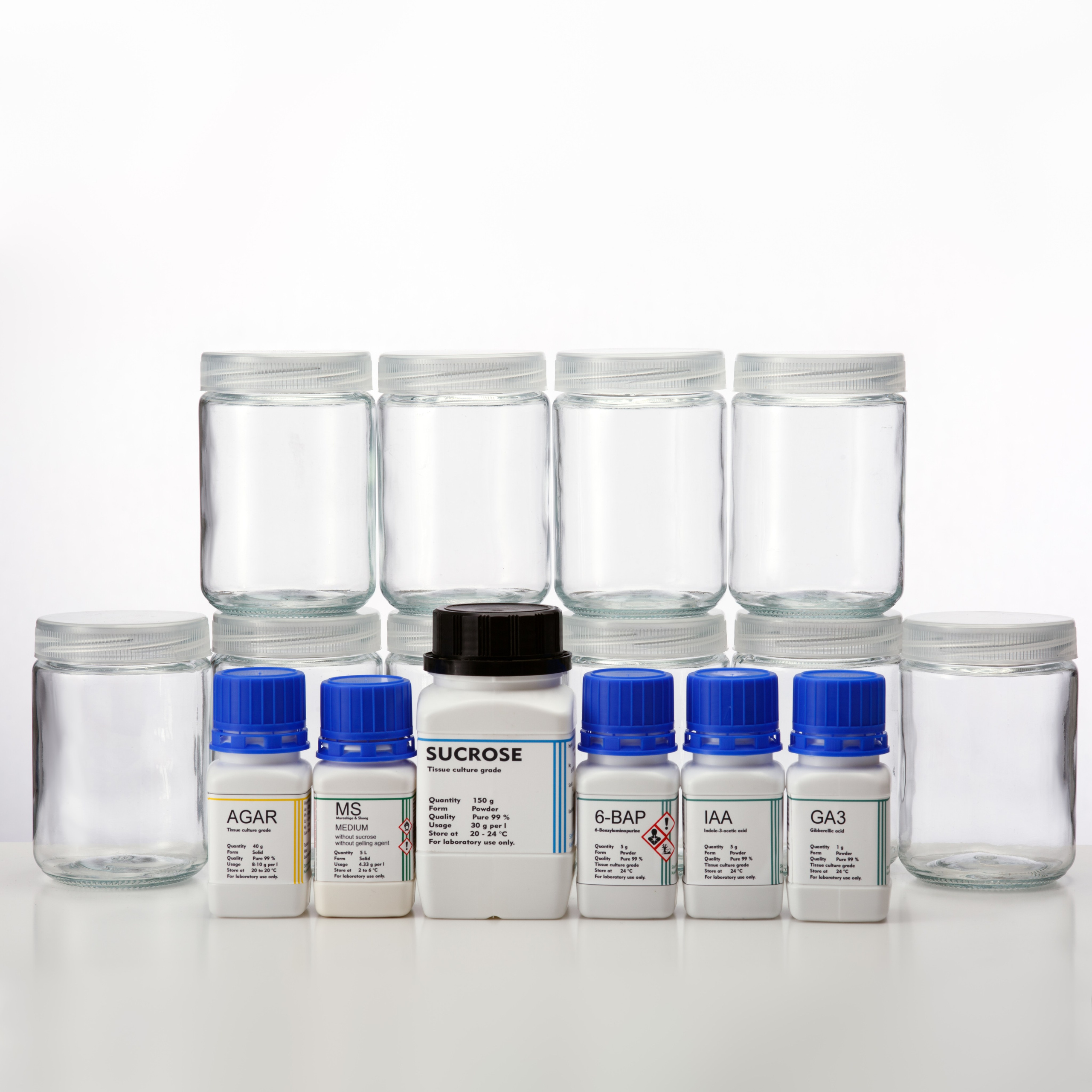 Alzymologist Oy. Elena Yavorskaya Photography