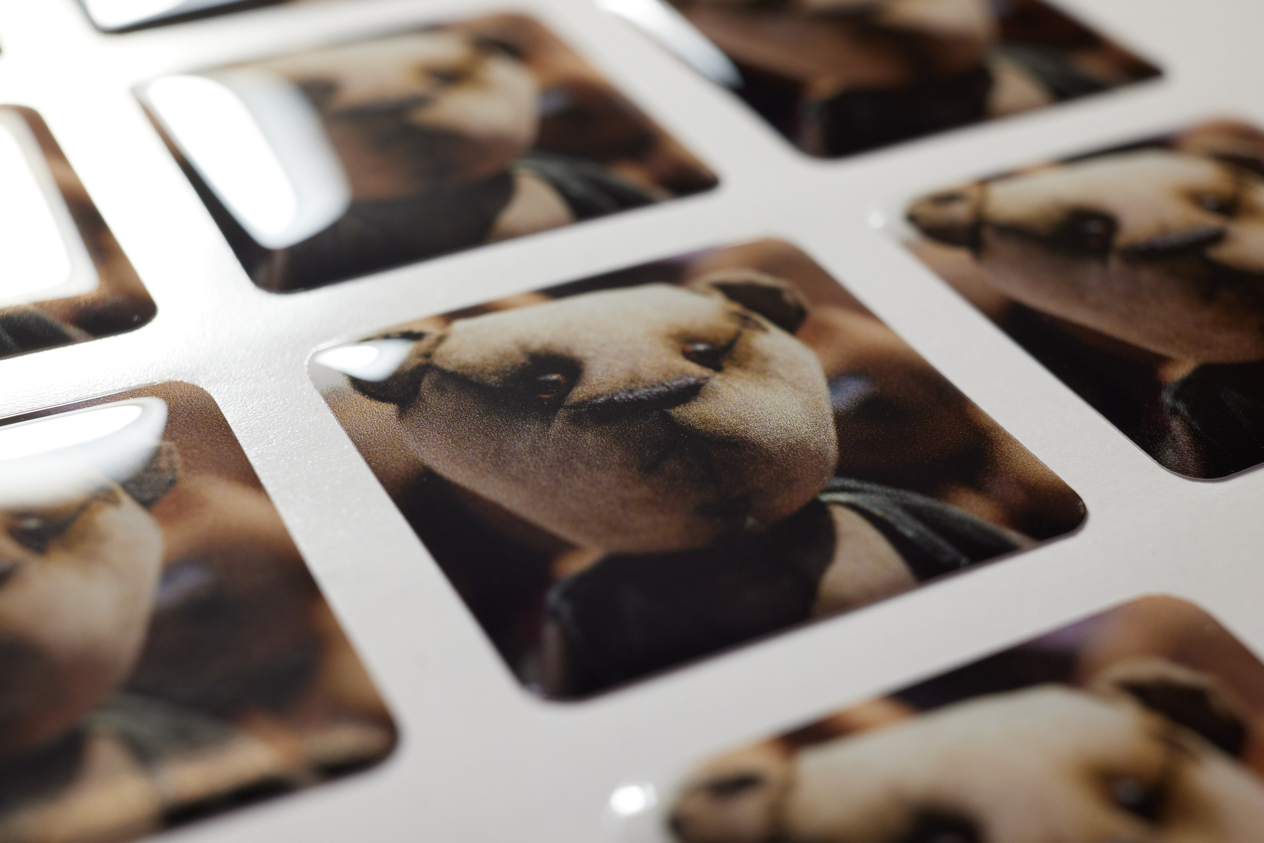 Полимерная этикетка. Имидж Технологии — Производство сувенирных магнитов, заливных этикеток и значков. Репортажная фотография в Кирове Кировской области