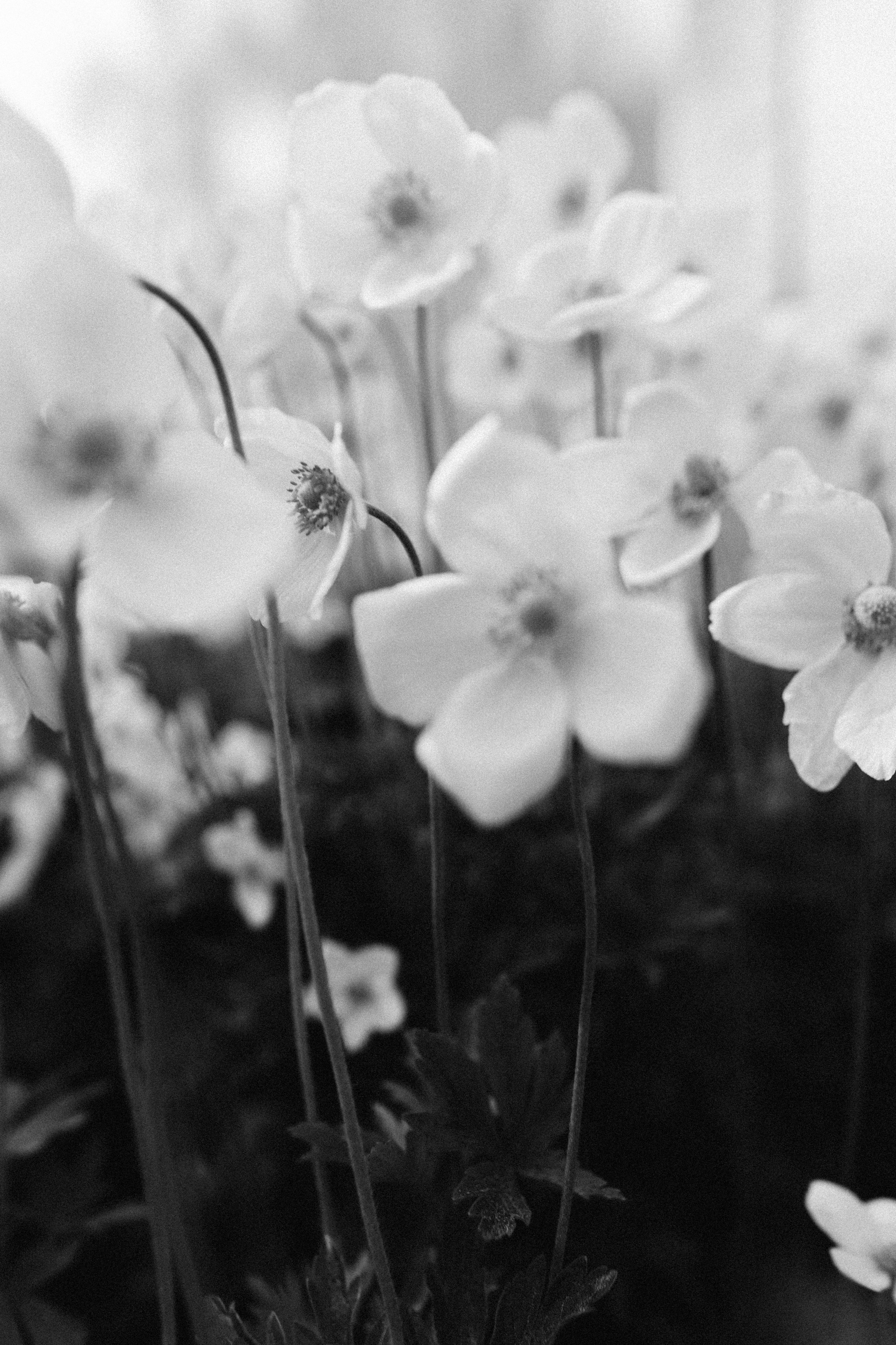 Психолог. Женский и контент фотограф в Москве