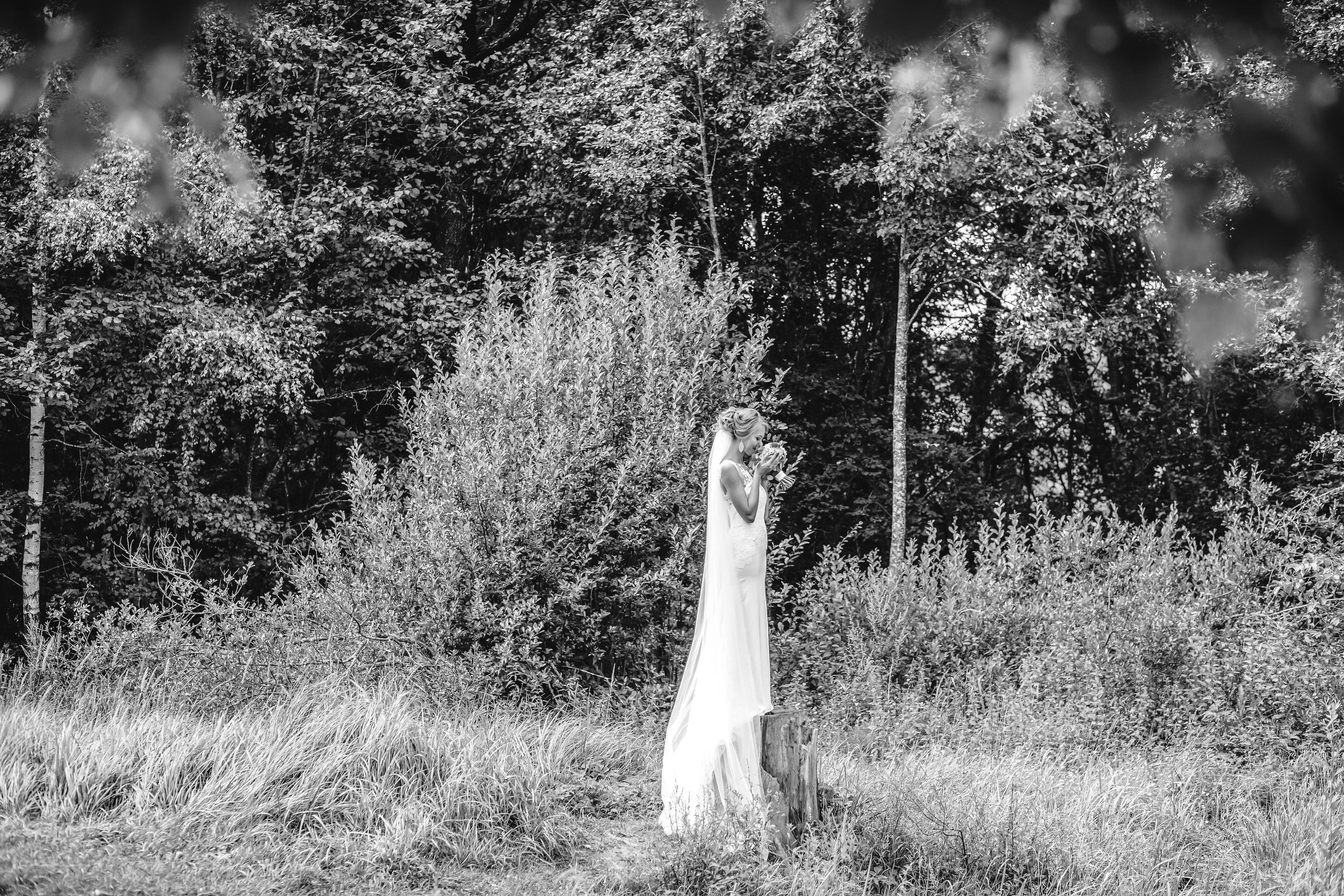 Алексей и Екатерина. Свадебный и Семейный фотограф в Минске Сергей Ильин