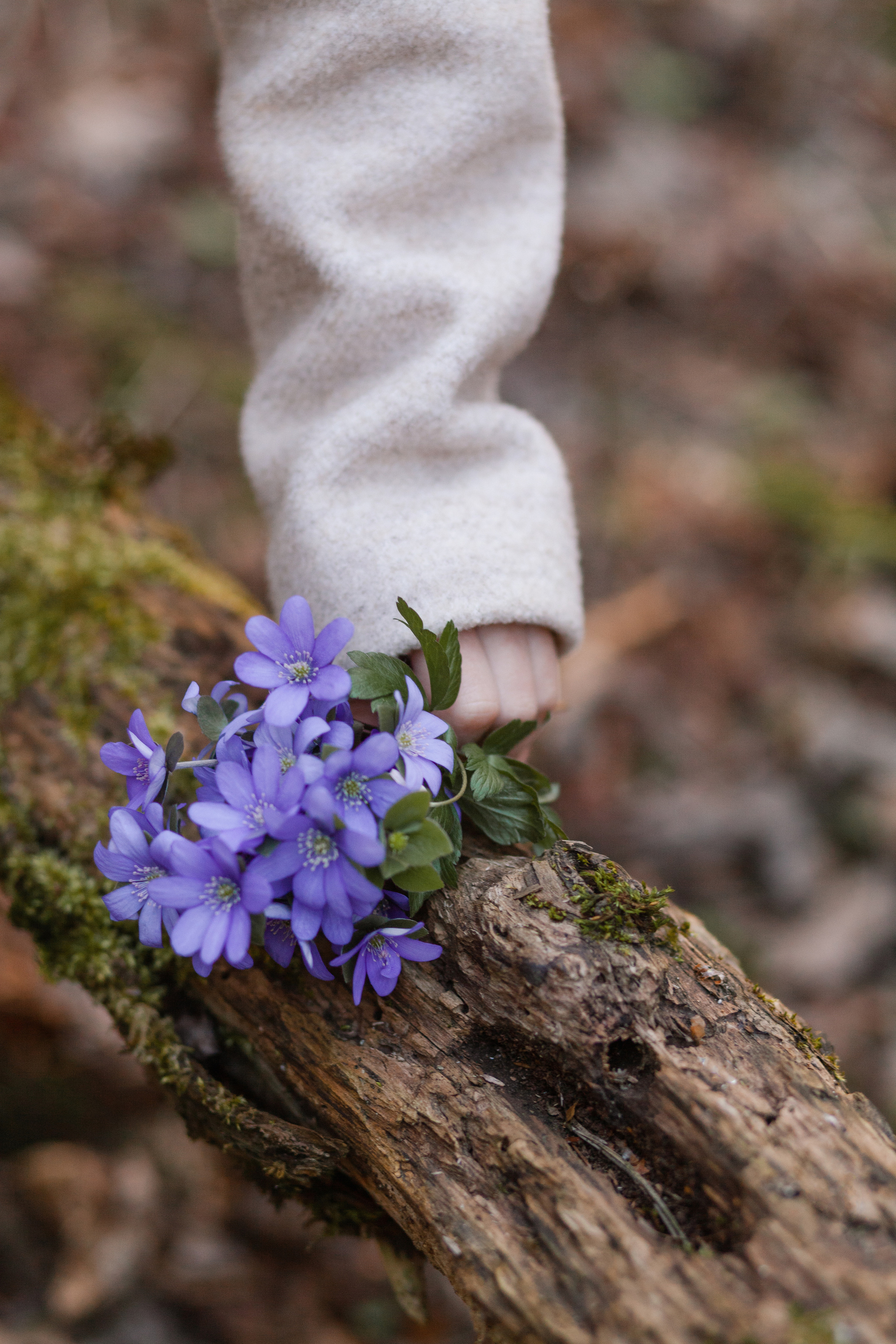 Лесная прогулка, Лиза. Свадебный и Семейный фотограф в Минске Сергей Ильин