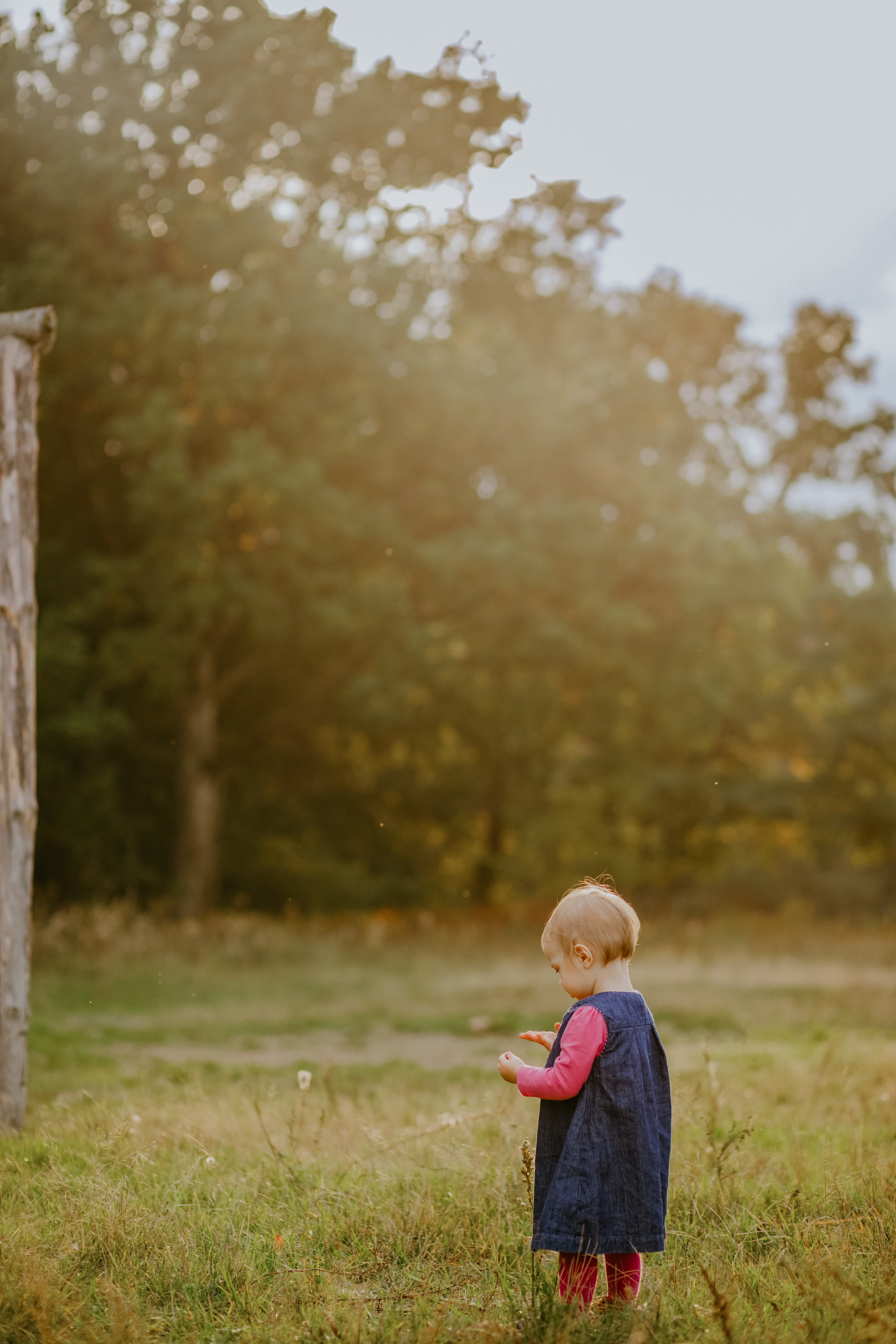 Ева Мама Папа. Свадебный и Семейный фотограф в Минске Сергей Ильин