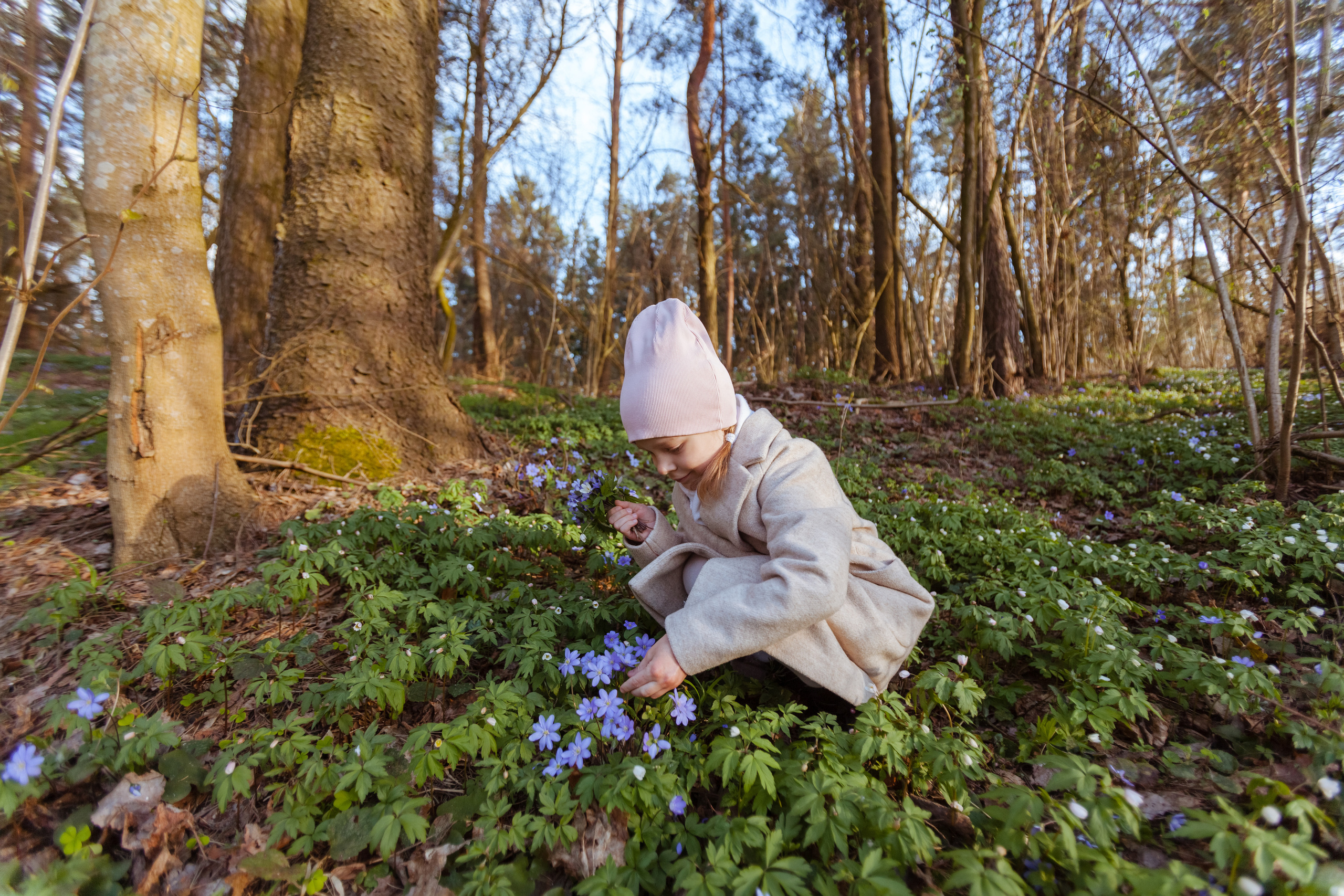 Лесная прогулка, Лиза. Свадебный и Семейный фотограф в Минске Сергей Ильин