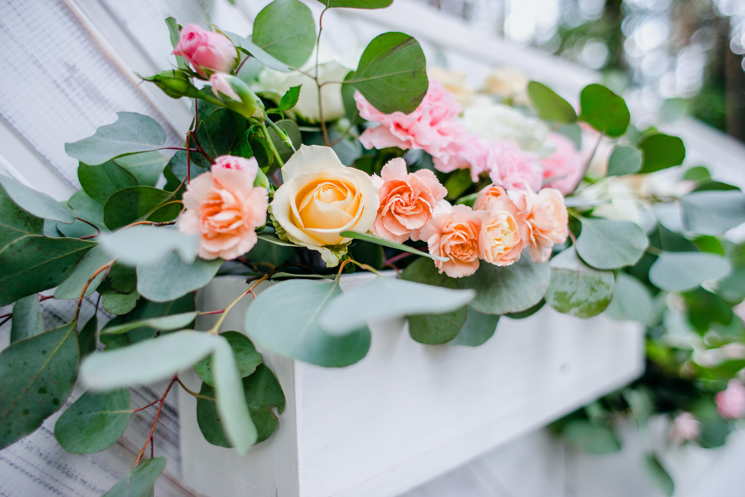 Алексей и Екатерина. Свадебный и Семейный фотограф в Минске Сергей Ильин