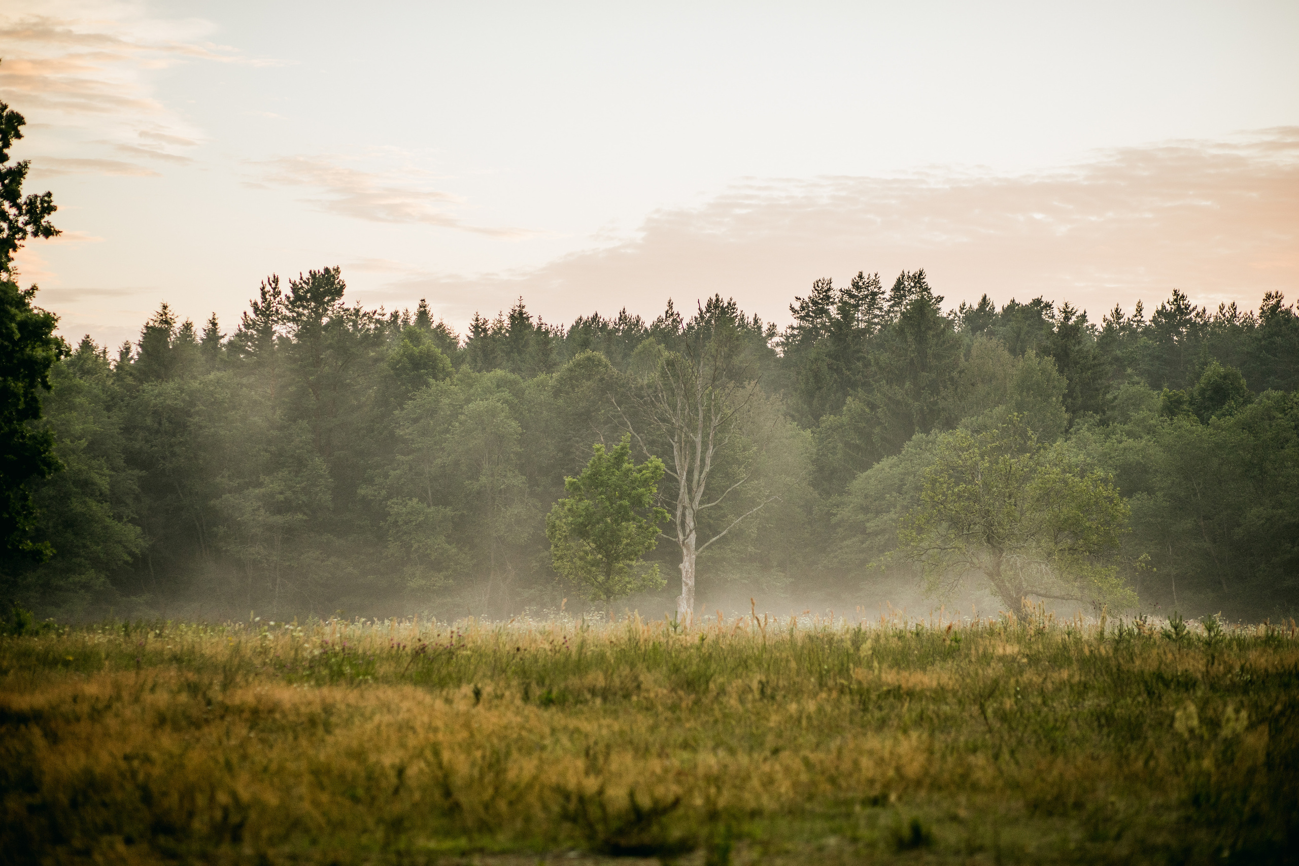 Анатолий и Юлия и их свадебно-семейная прогулка. Свадебный и Семейный фотограф в Минске Сергей Ильин