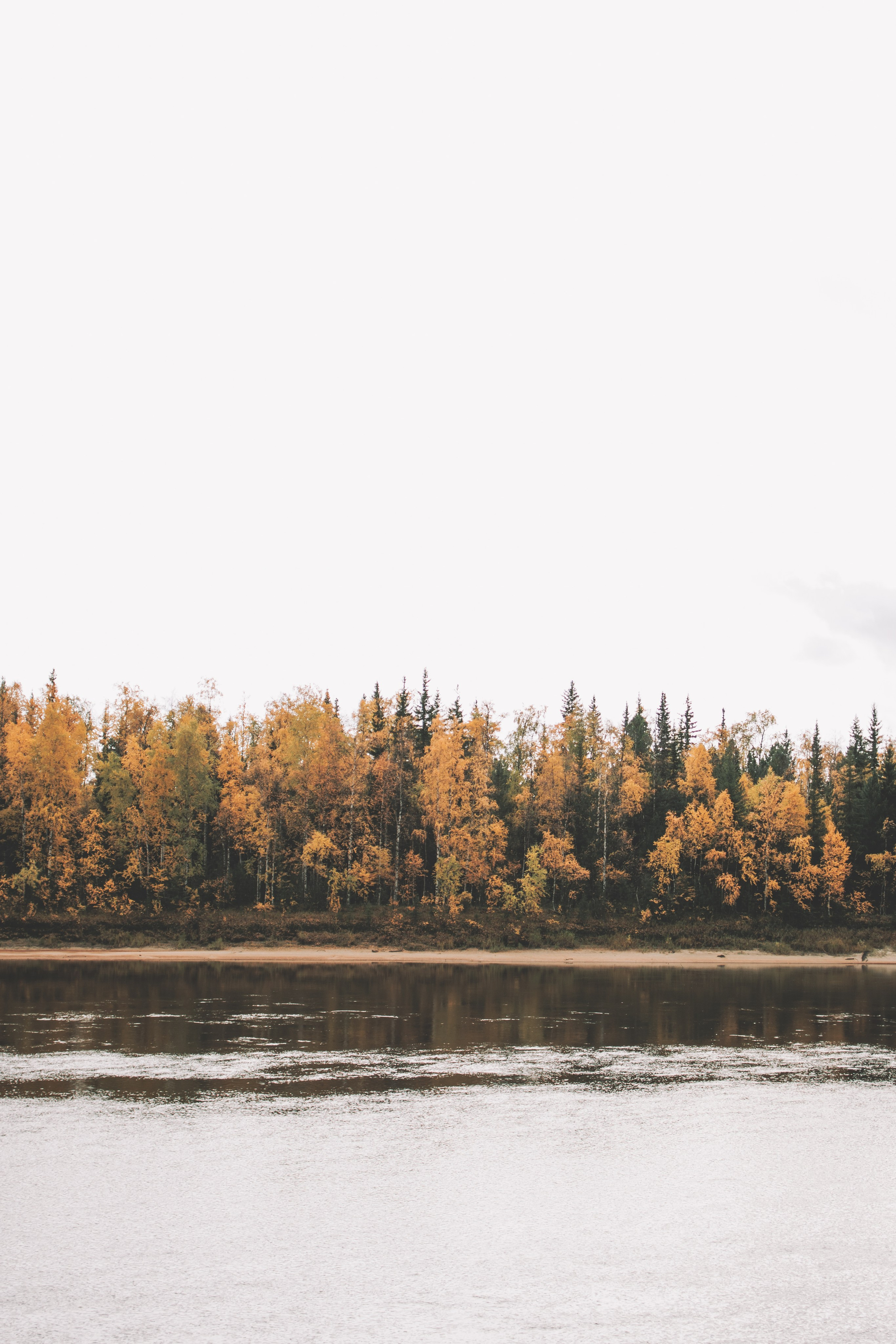 Муслимат. Семейный и свадебный фотограф Губкинский и Ставрополь