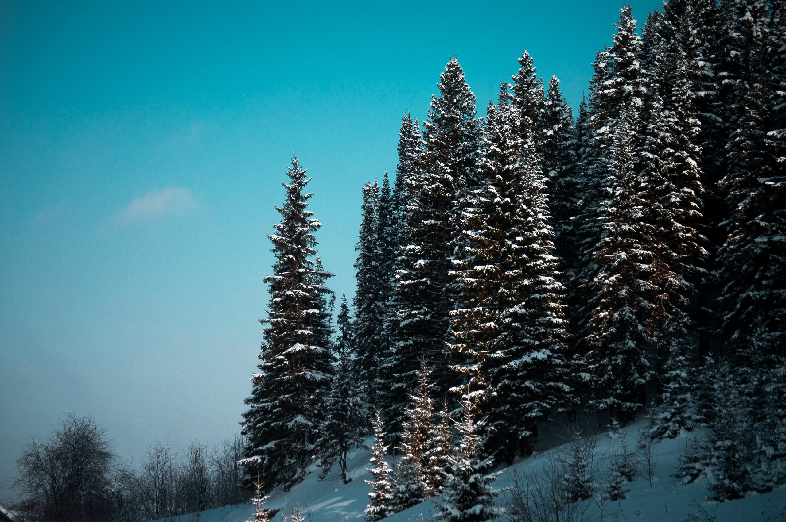 Эстетика еб{деревней}й. Место {не}банальных фото