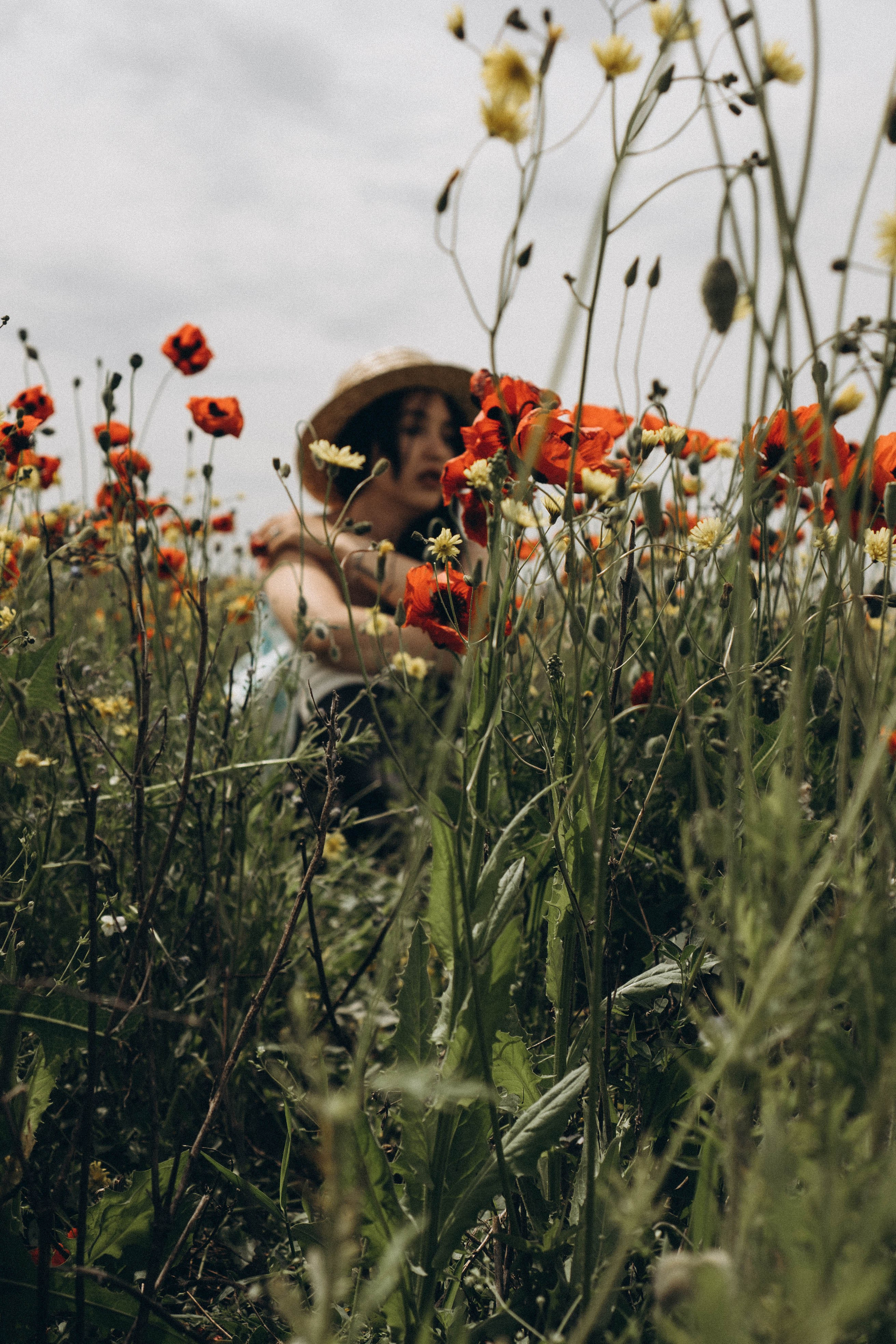 Цветочная поляна. Профессиональный фотограф, Санкт-Петербург — Виктория Богомолова