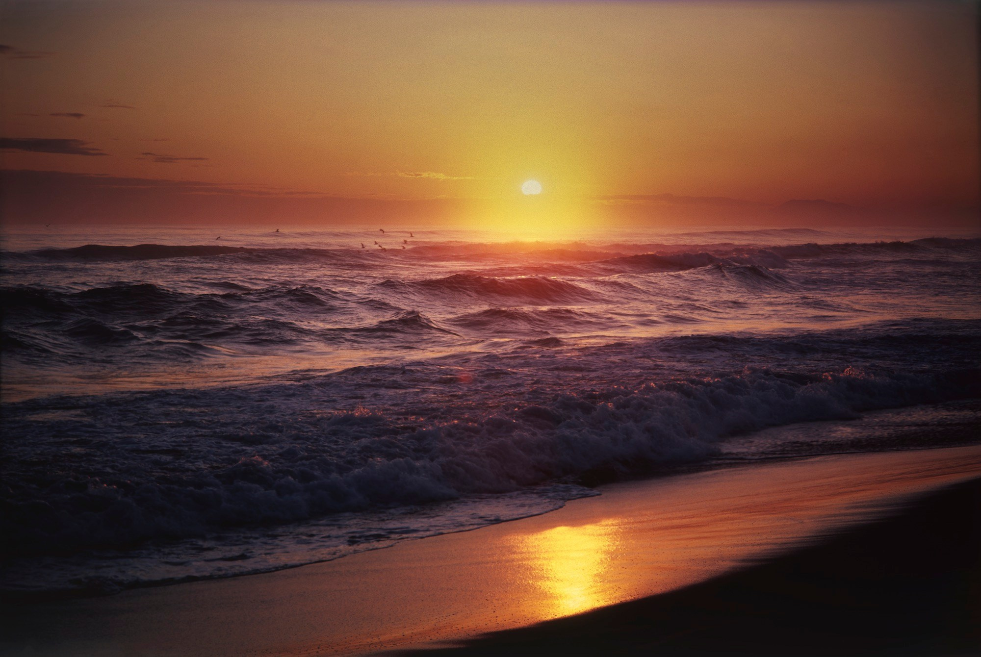 Тихий океан