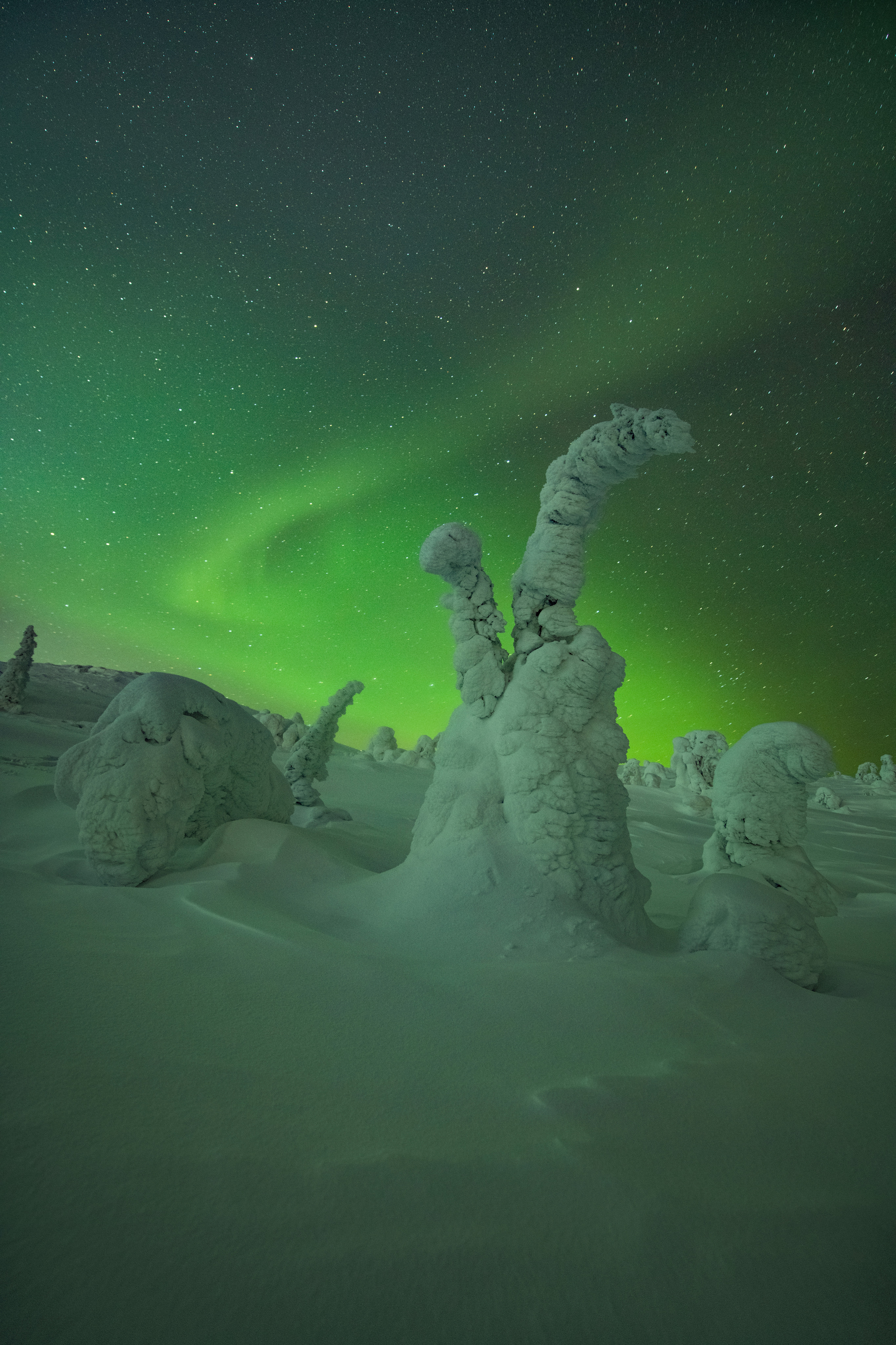 Пейзажный фотограф Ермолина Елена