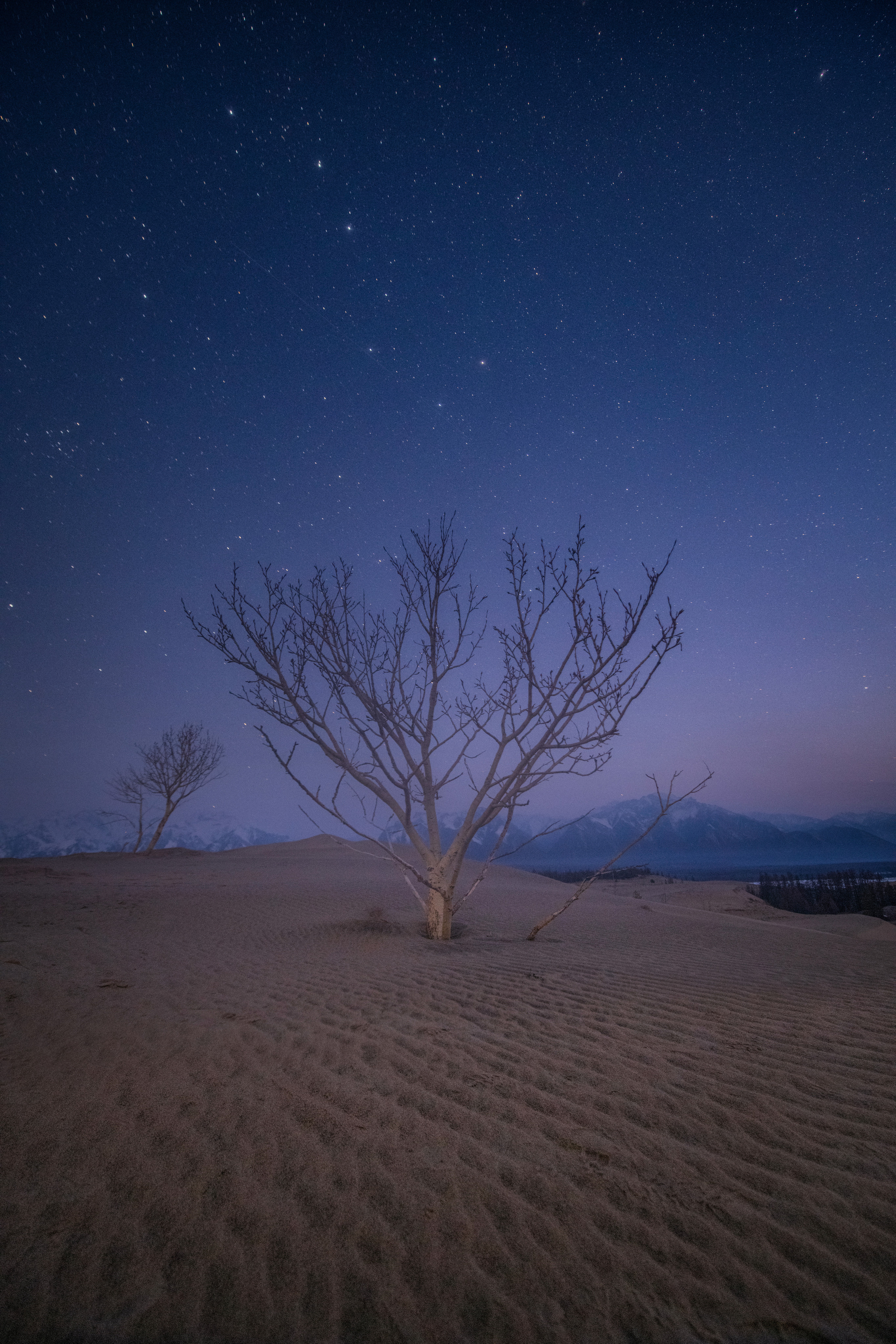 Пейзажи. Пейзажный фотограф Ермолина Елена