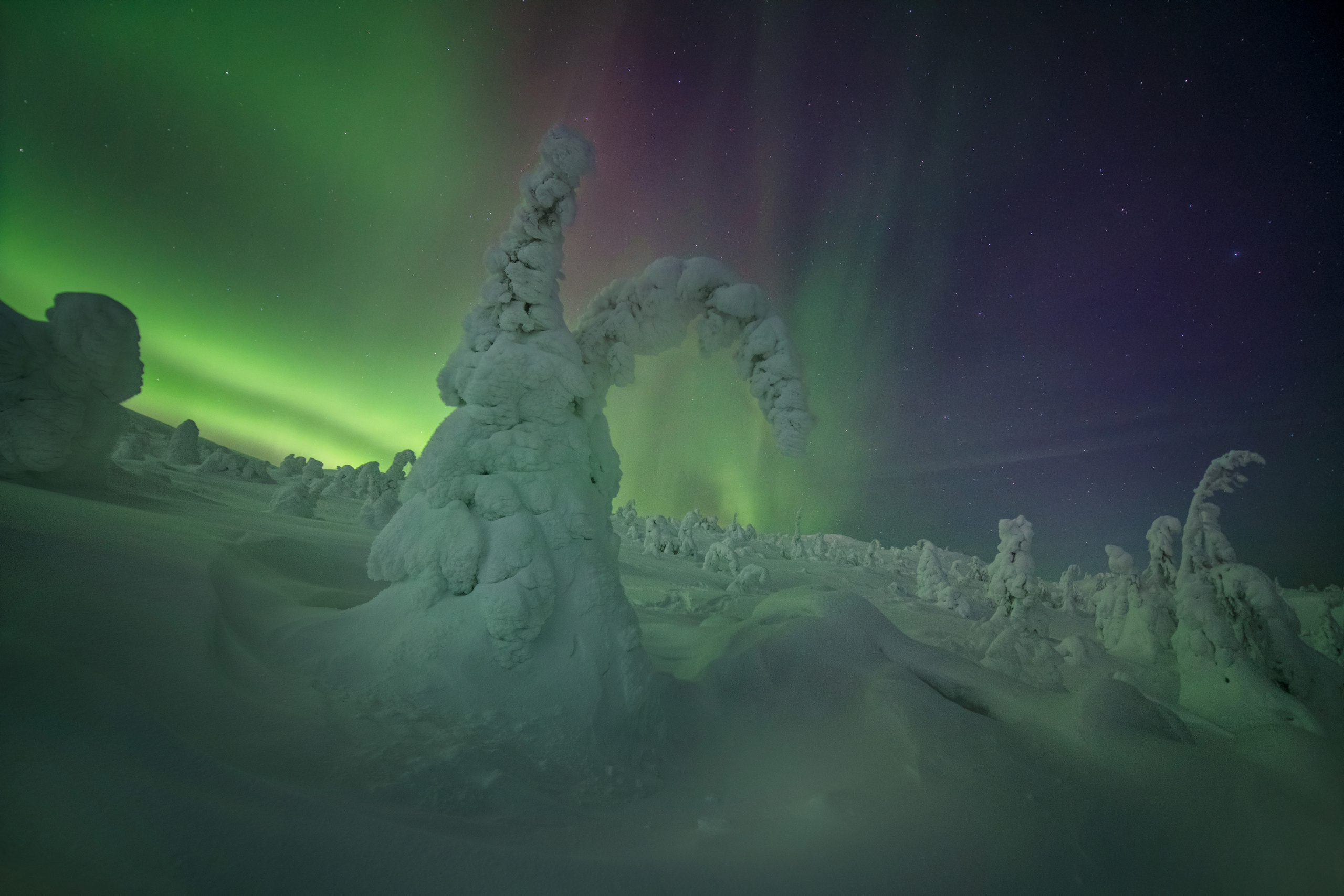 Пейзажный фотограф Ермолина Елена