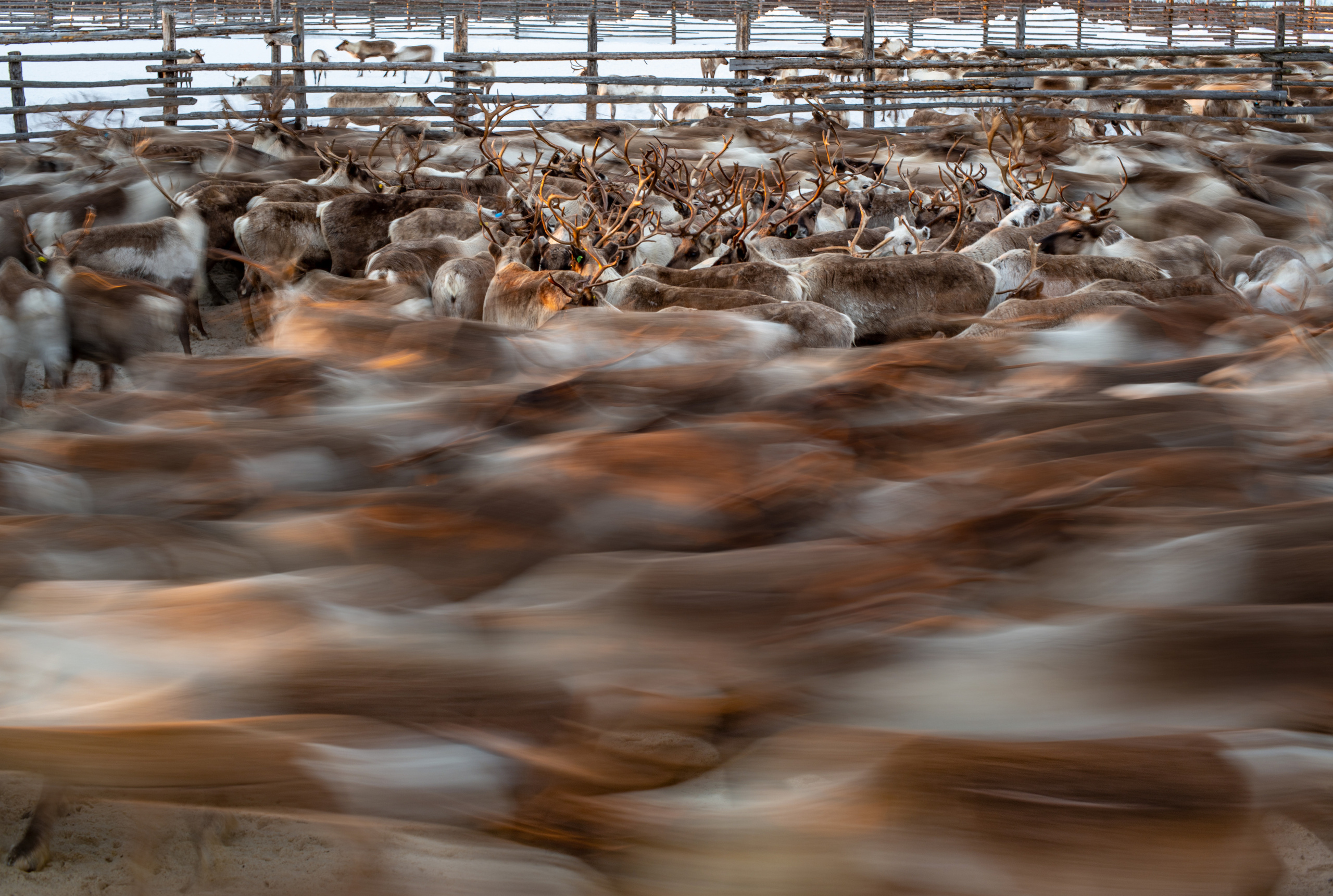 Russian North. Landscape photographer Elena Ermolina