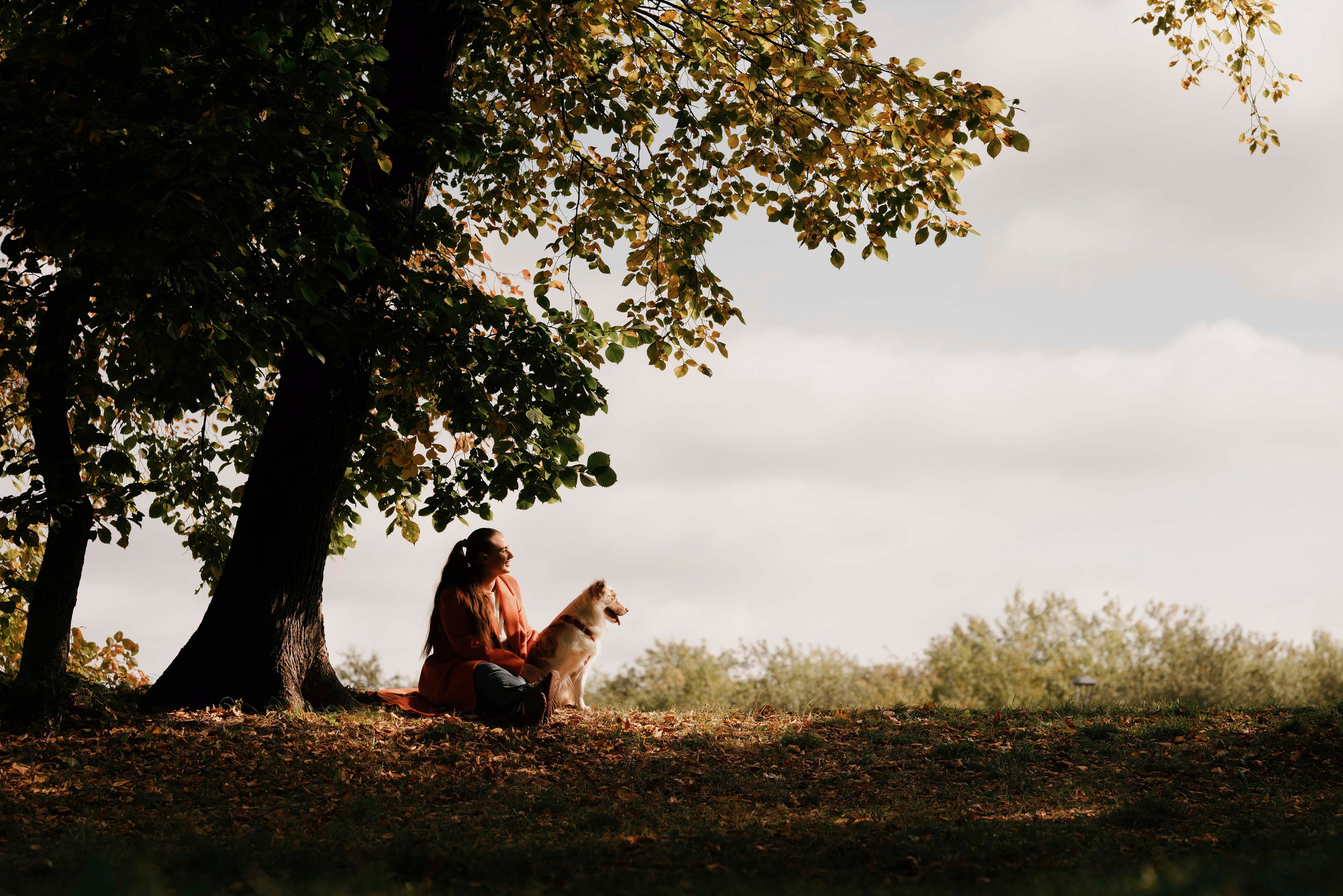 Дженни. Фотограф- анималист Александра Матвеева
