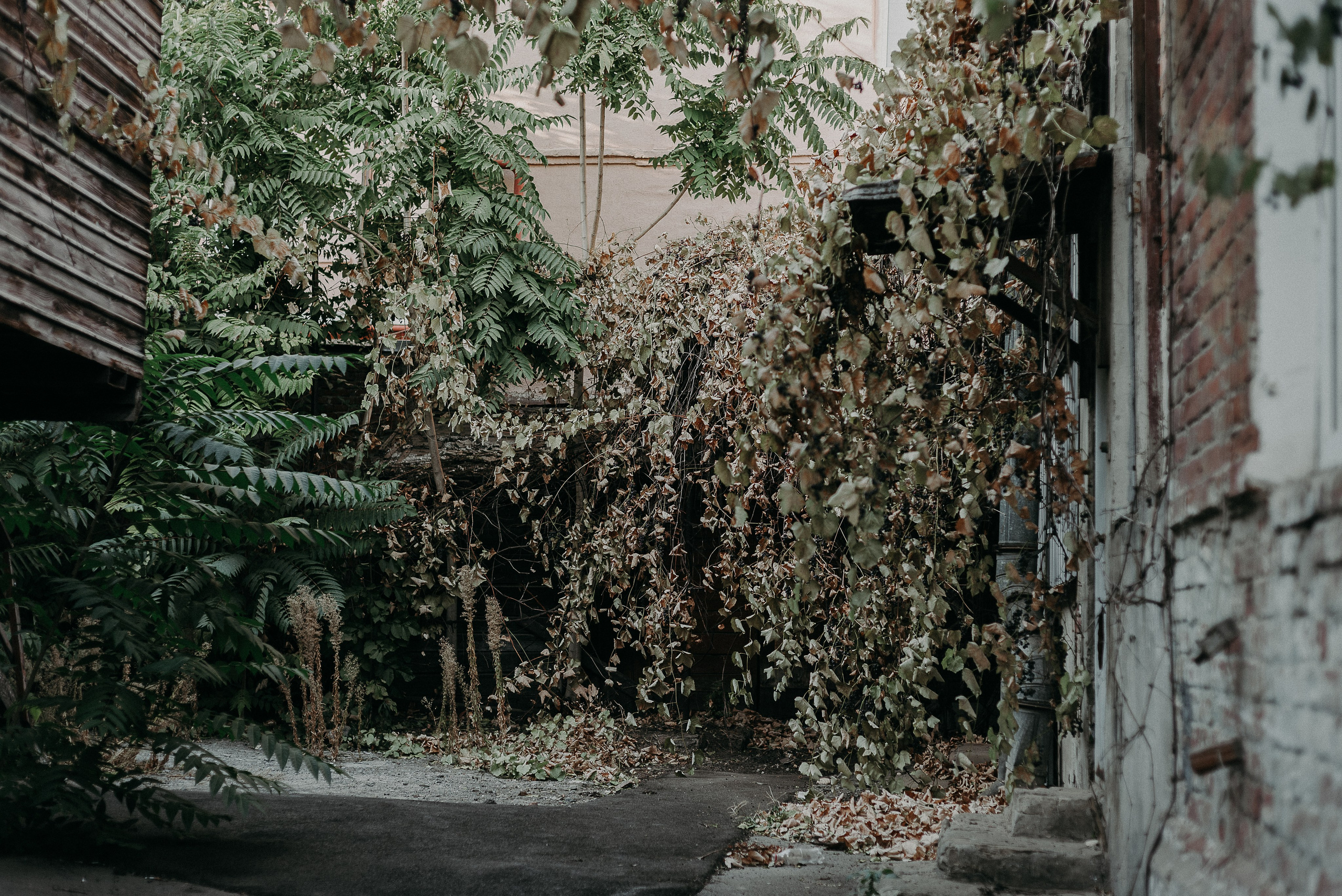 Путешествие по Ростову-на-Дону: взгляд рекламного фотографа. Коммерческий и предметный фотограф в Гуанчжоу Коваленко Александр