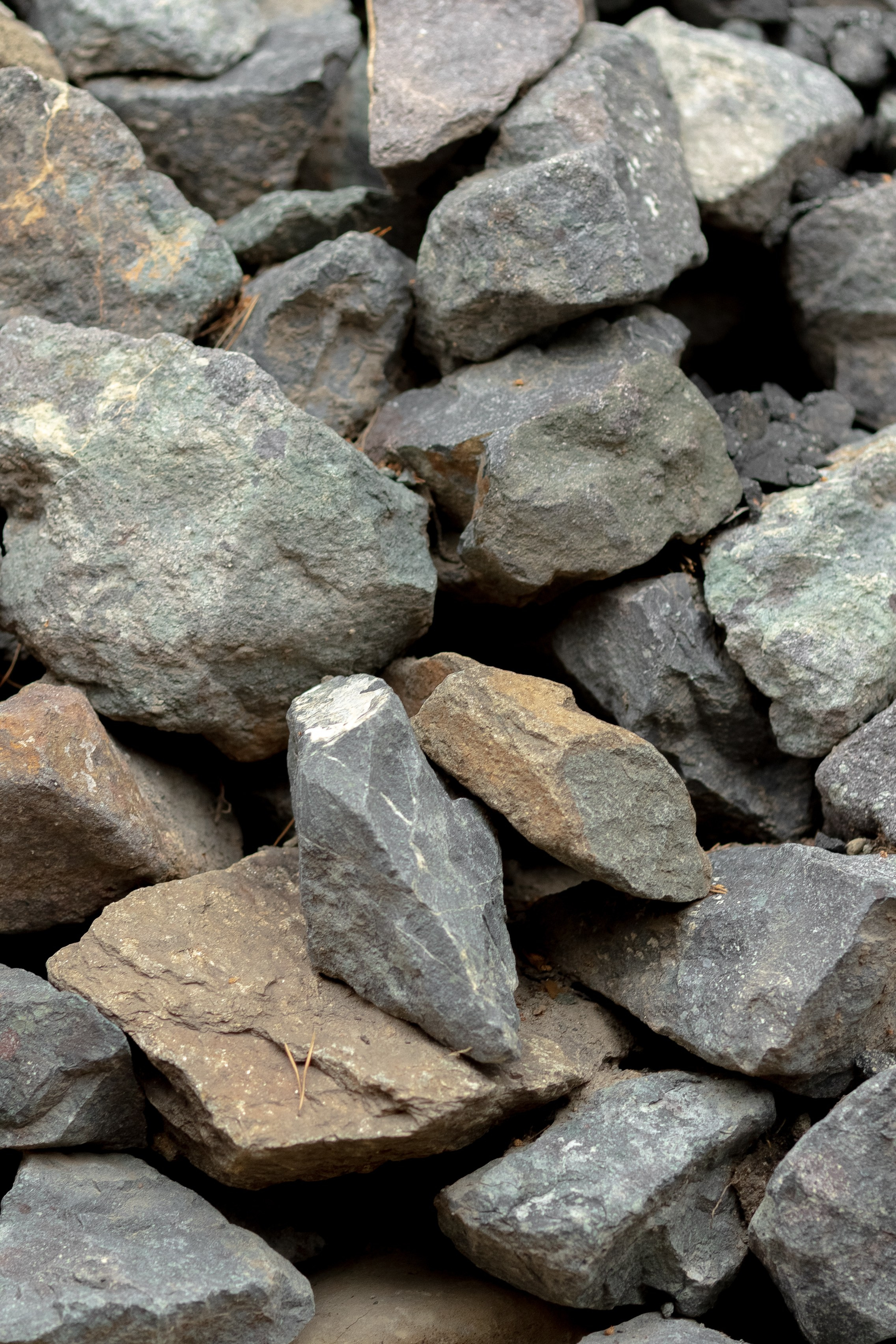 Кавказ Пар. Главная