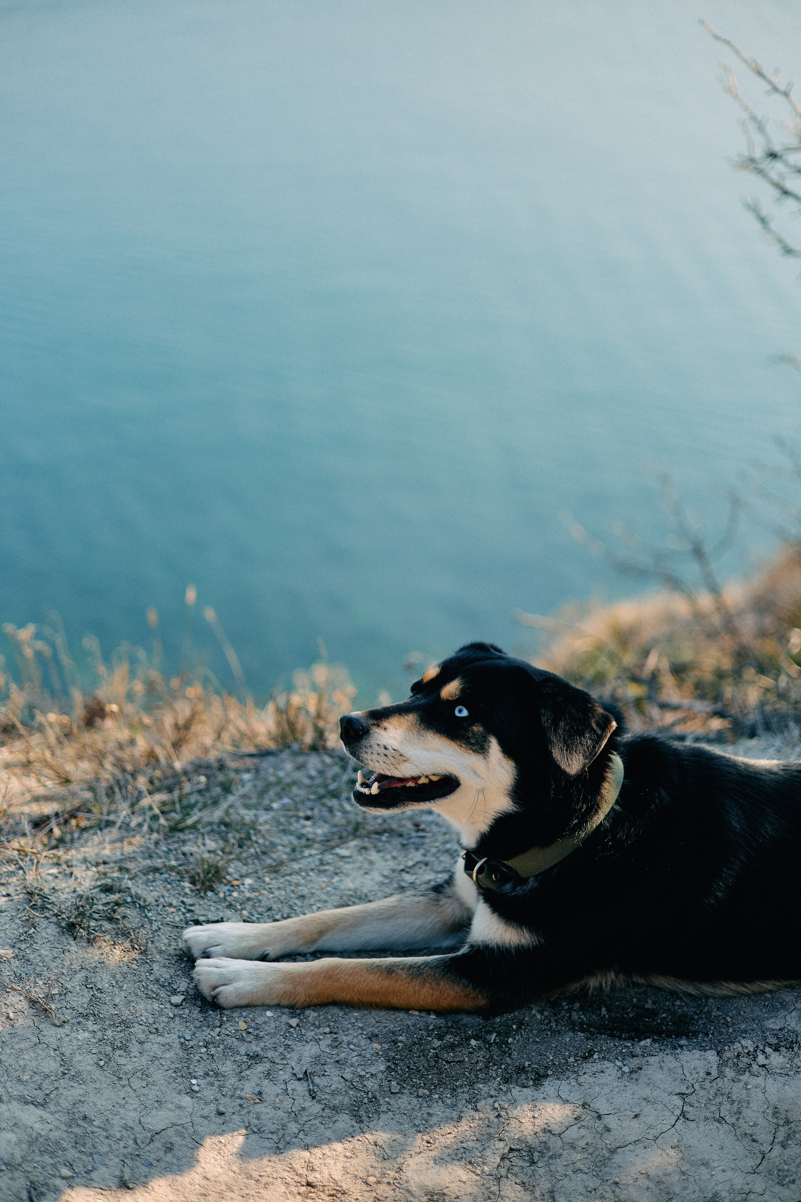 Юг России. Профессиональный Фотограф во Владимире, в Москве и в Суздале — Полина Романычева