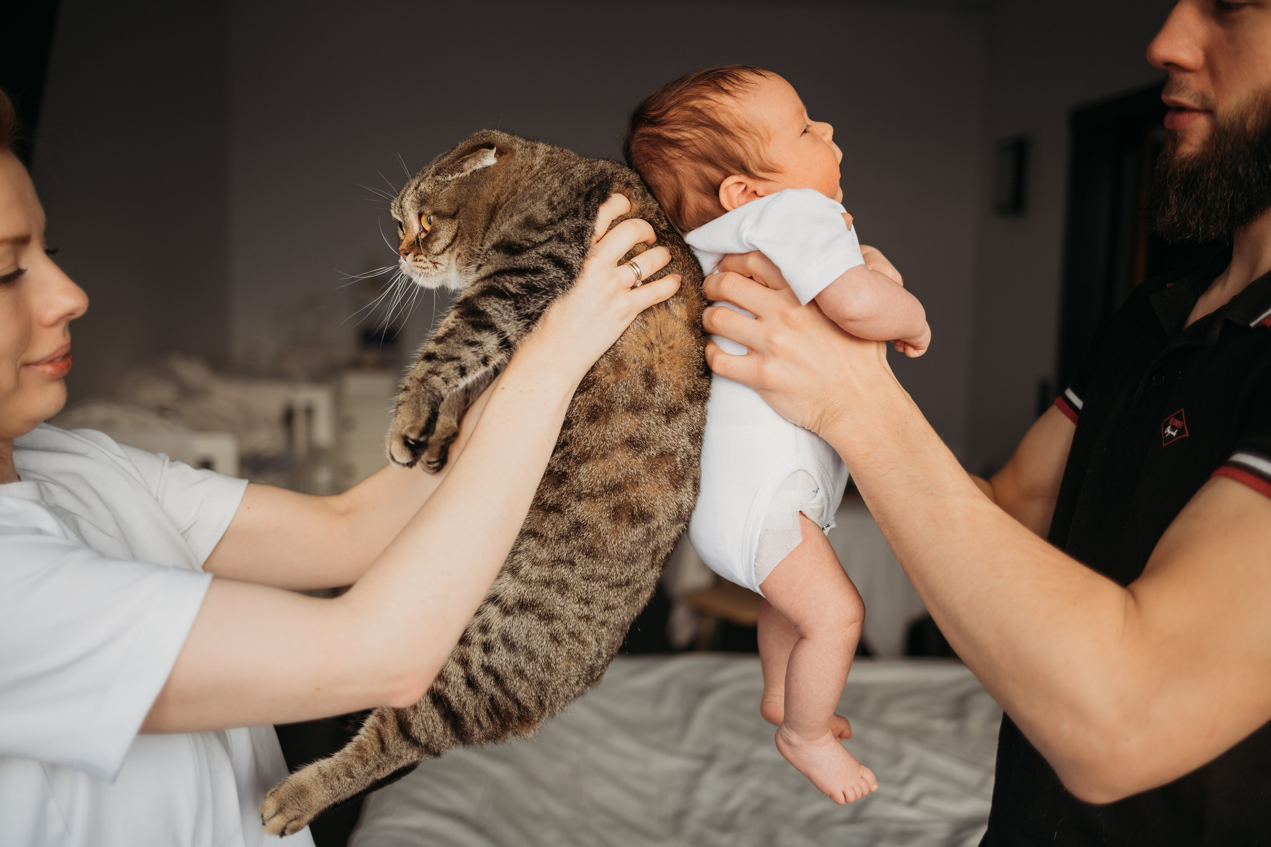 Дима, Катя и Андрей. Семейный и детский фотограф в Москве Александра Нараевская