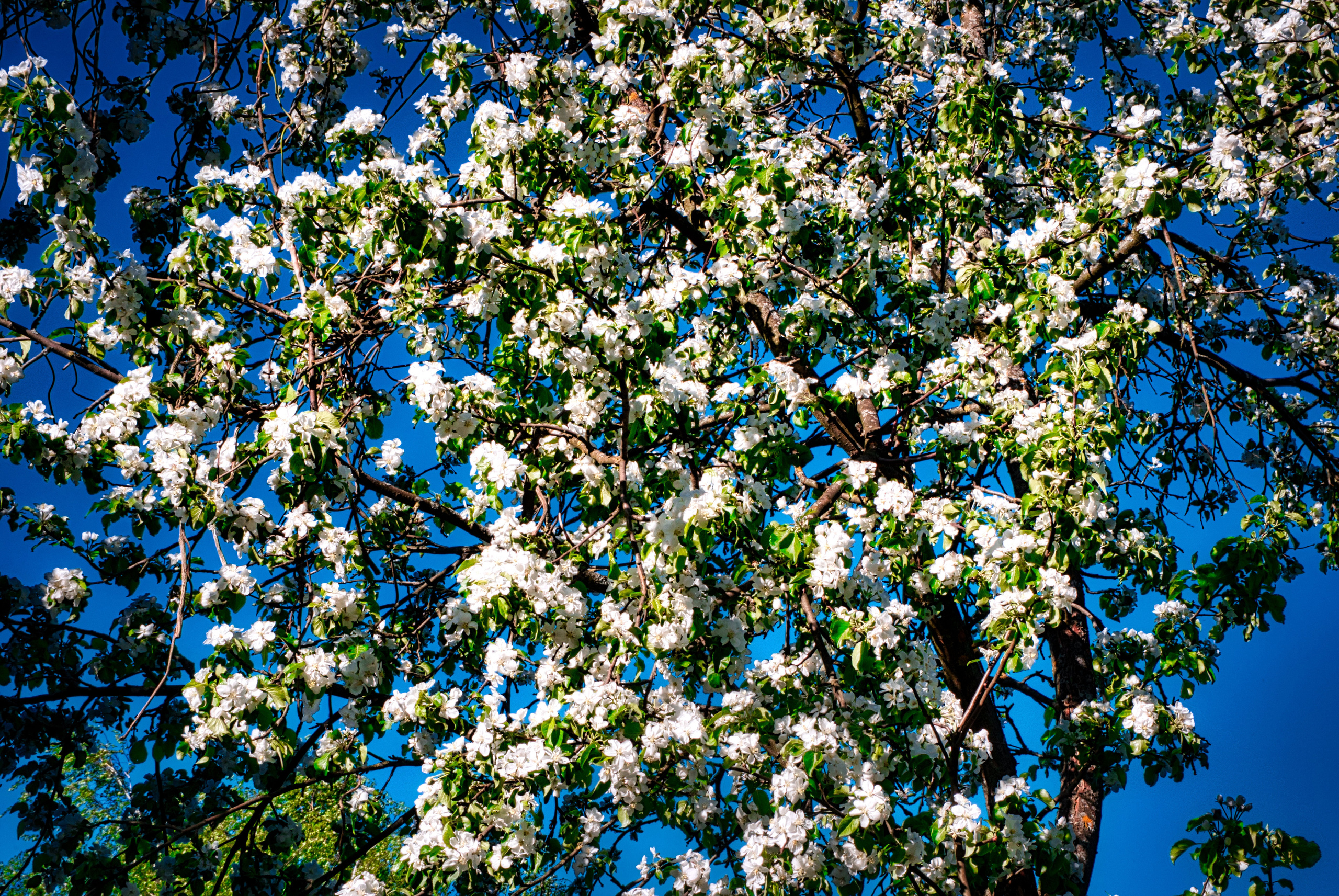 Природа. Креативное агентство — видео, фото, дизайн