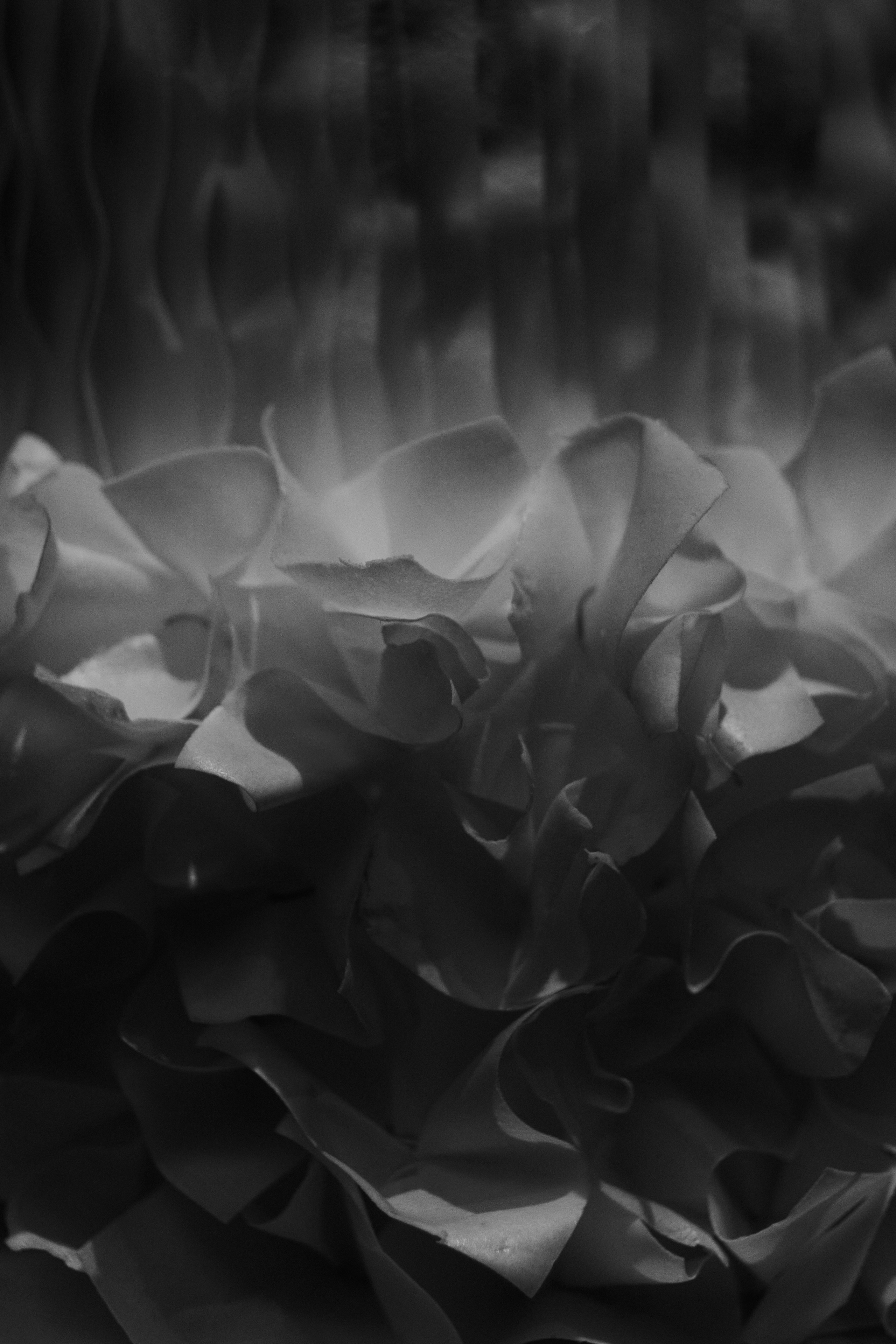 Юлия и Сергей. Фотограф в Москве и Санкт-Петербурге