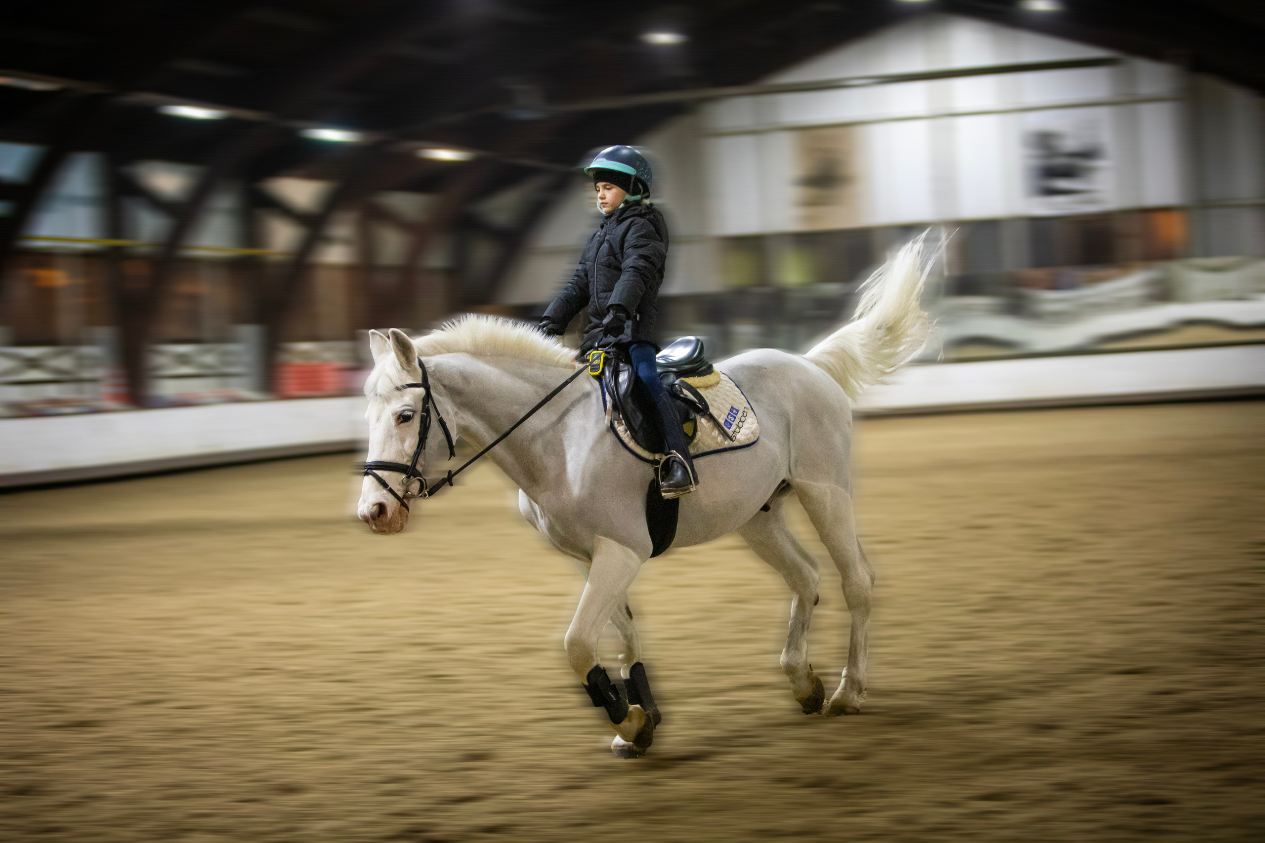 КСК "Белая Дача"