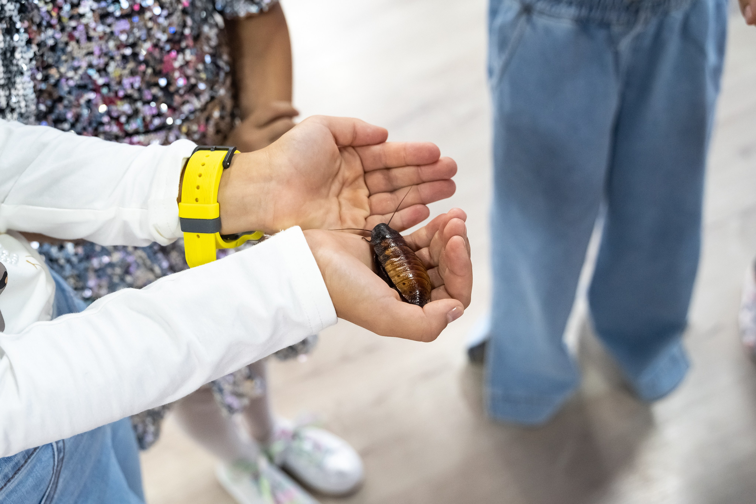 Tik Tok вечеринка. Фотограф в Одинцово, Москве