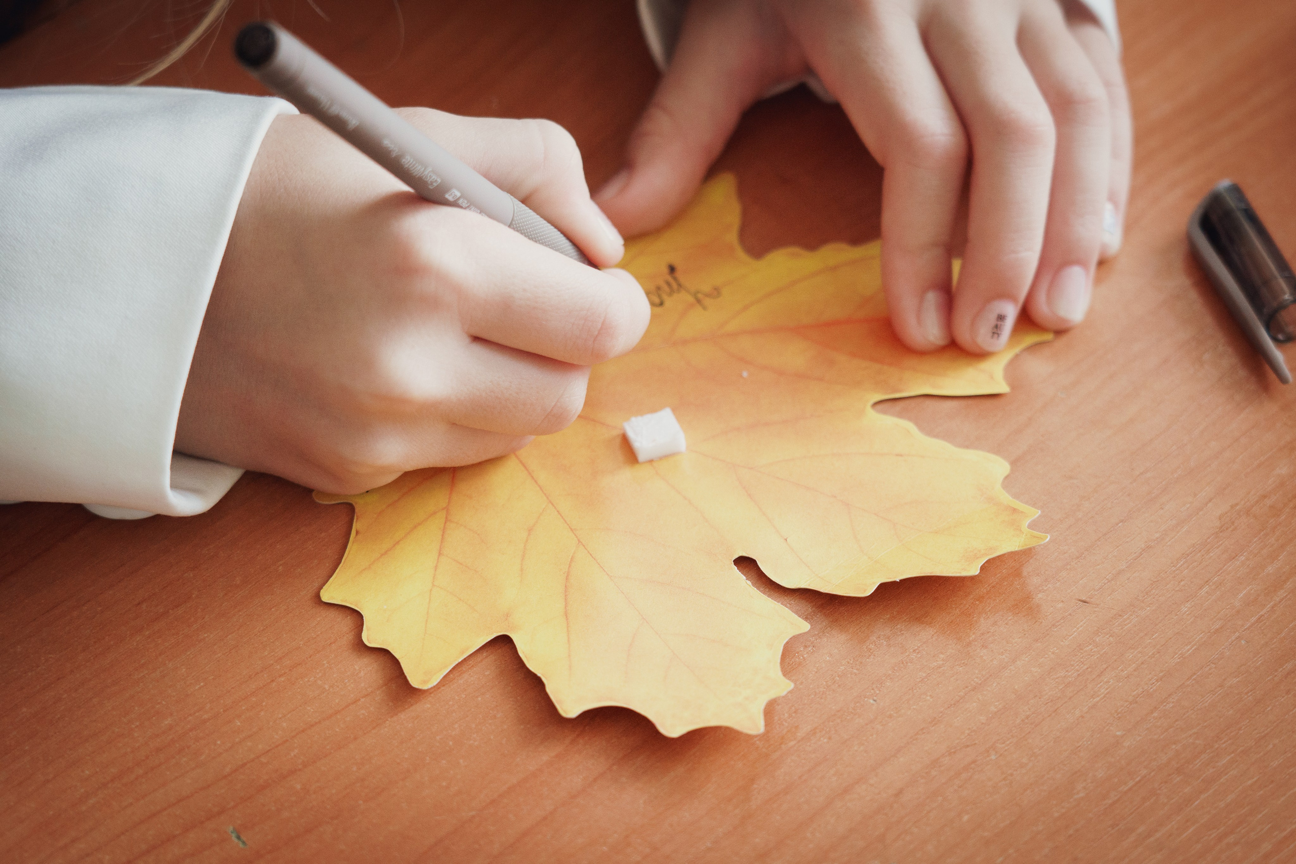 1 сентября 2024. Фотограф Дарья Локотко в Красноярске