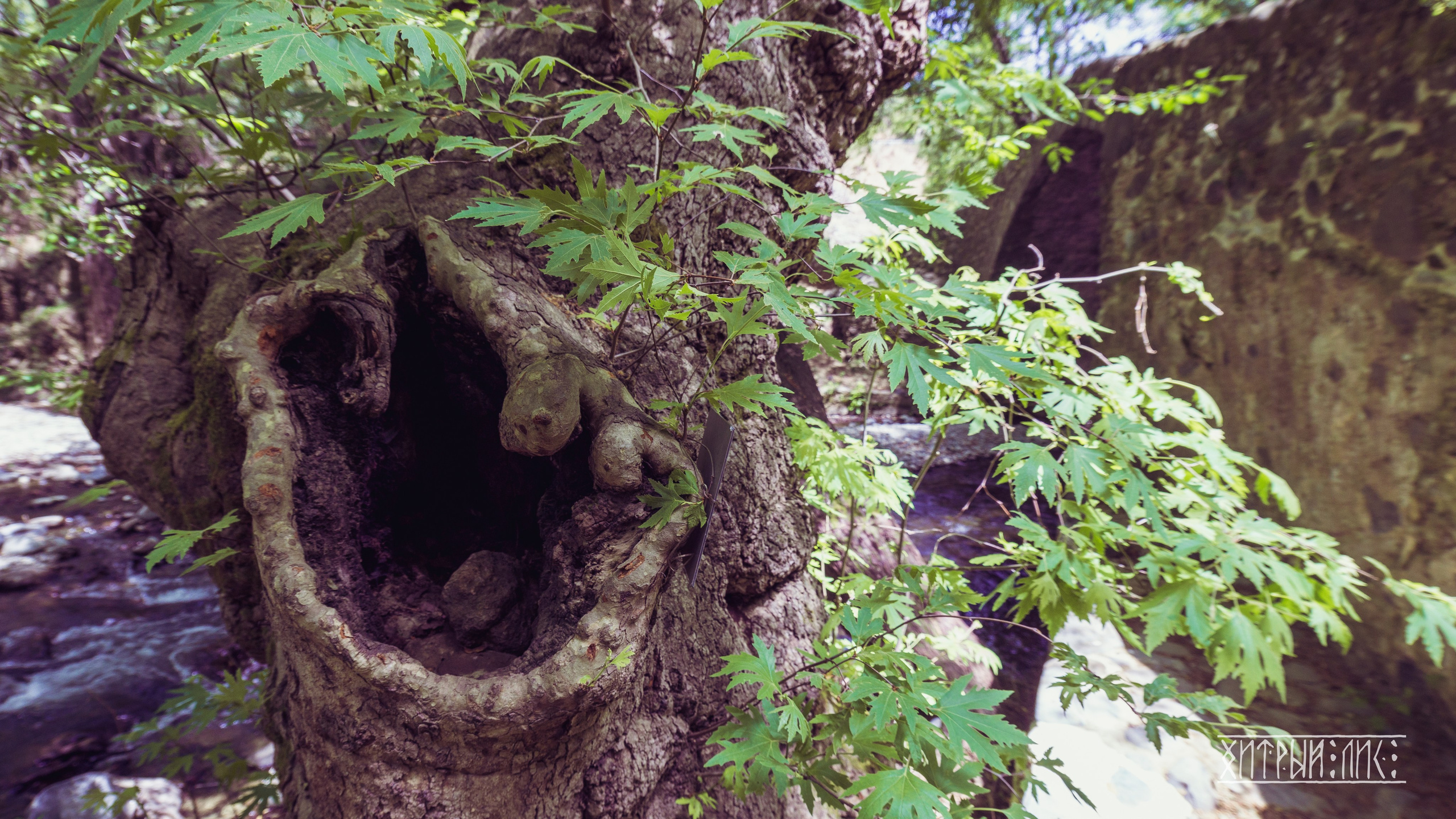 Кипр. Фотограф-путешественник Самойлов Максим «Sly Fox»