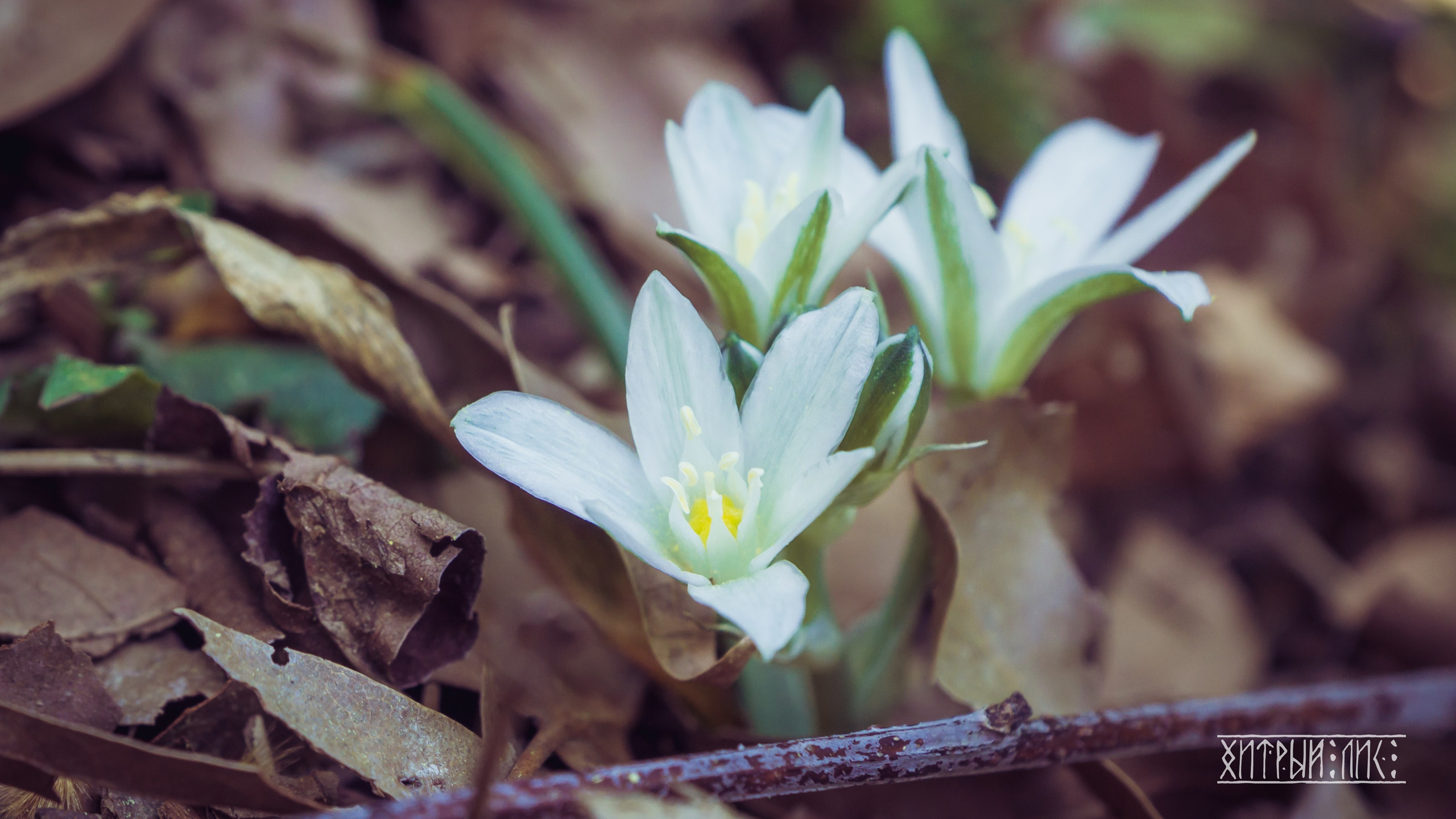 Кипр. Фотограф-путешественник Самойлов Максим «Sly Fox»