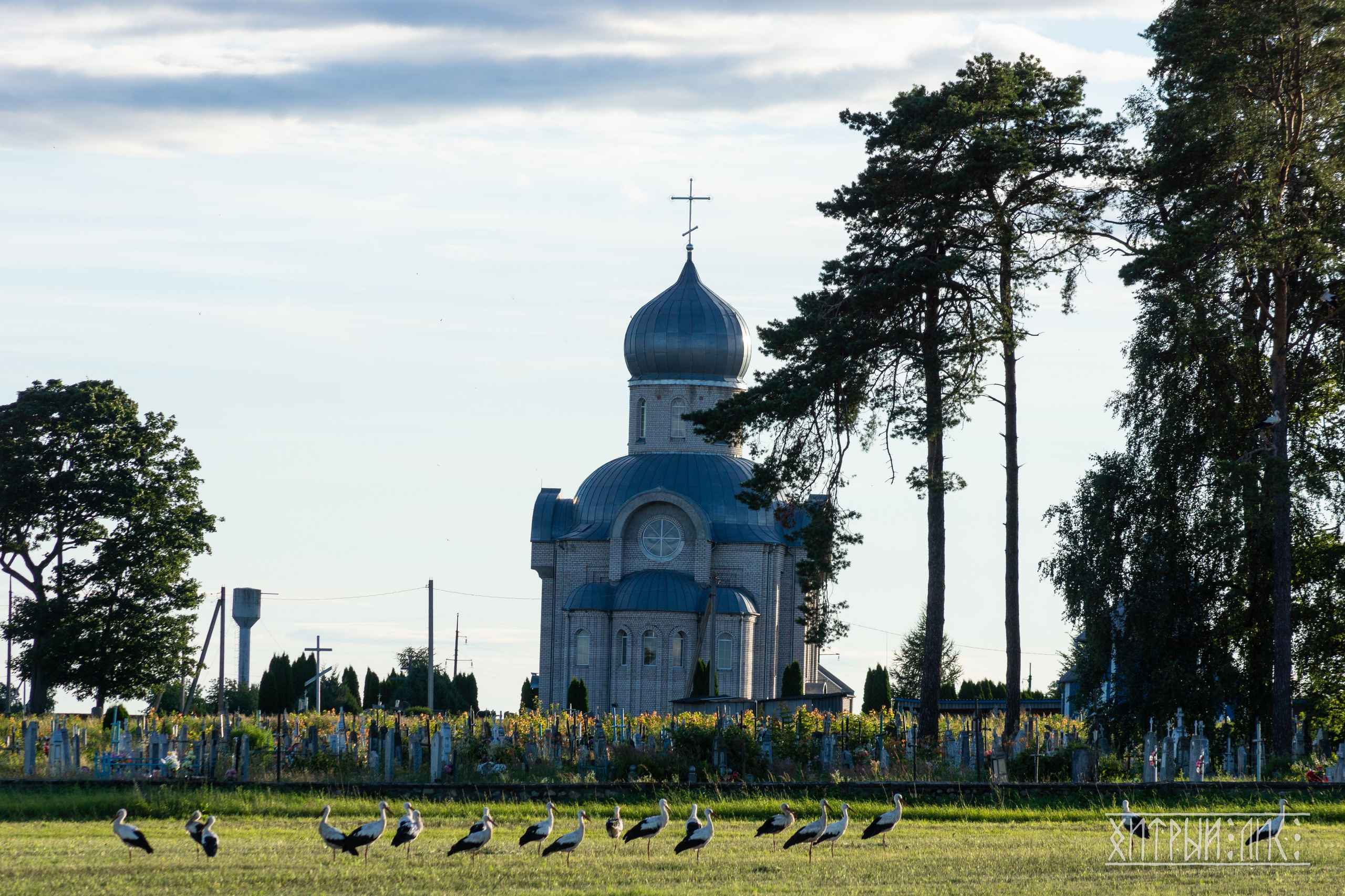 Беларусь. Фотограф-путешественник Самойлов Максим «Sly Fox»