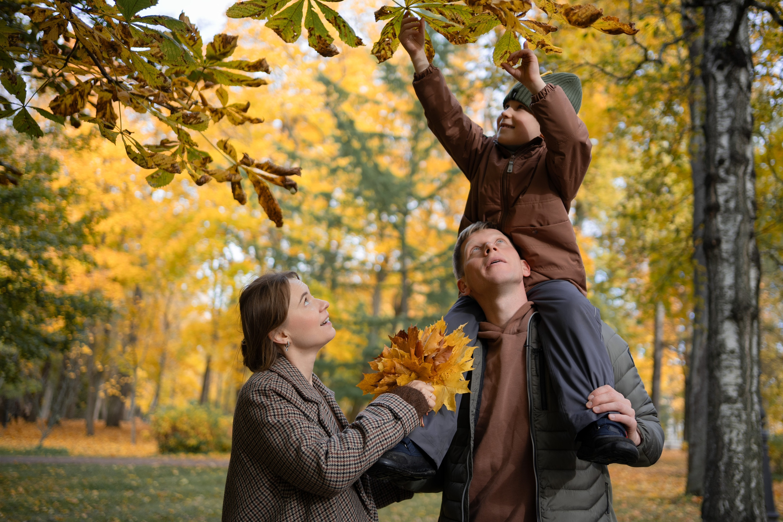 Осень на Каменном острове. Фотограф Виктория Юленкова