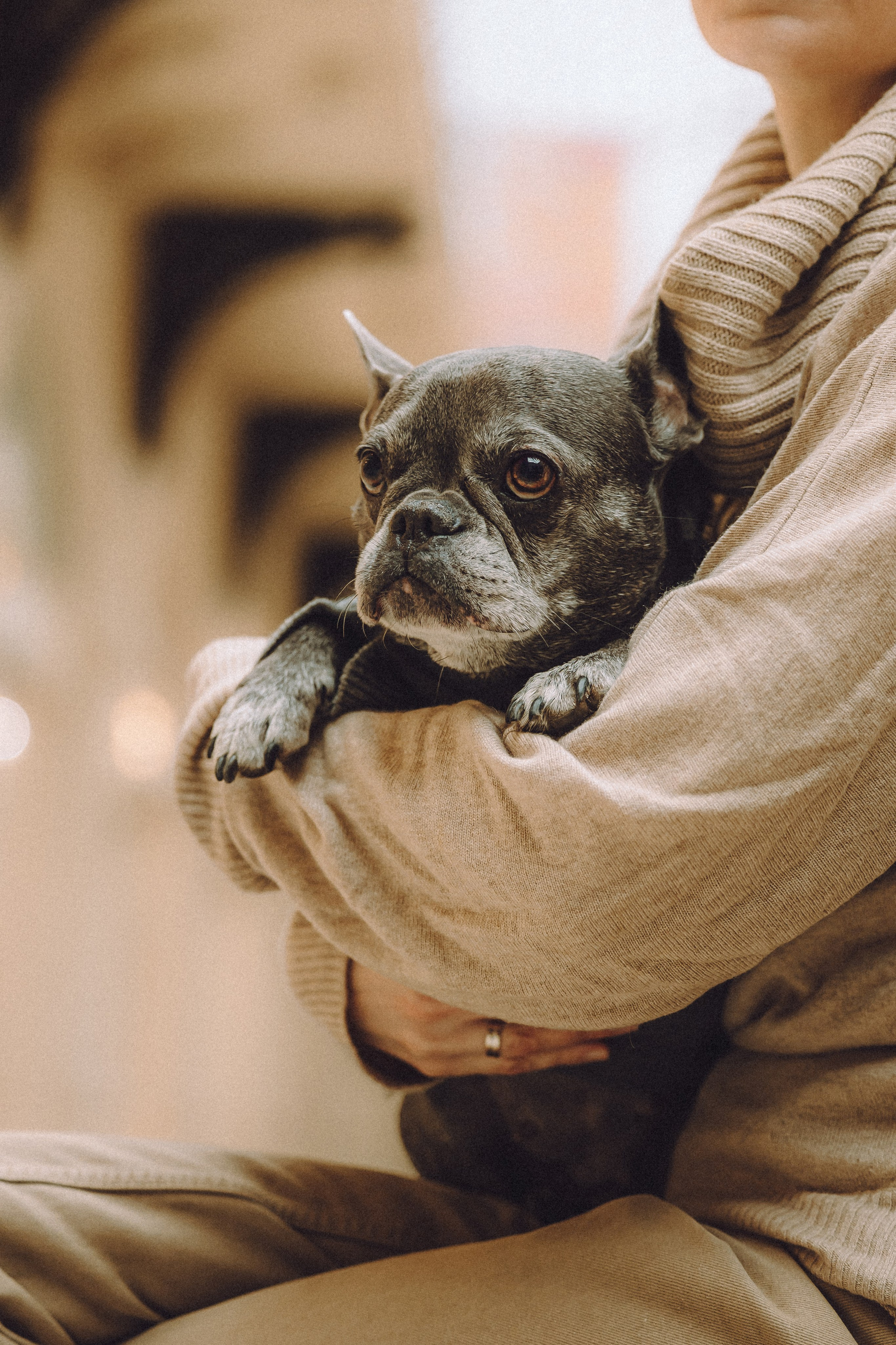 Юля, Вова и Моня