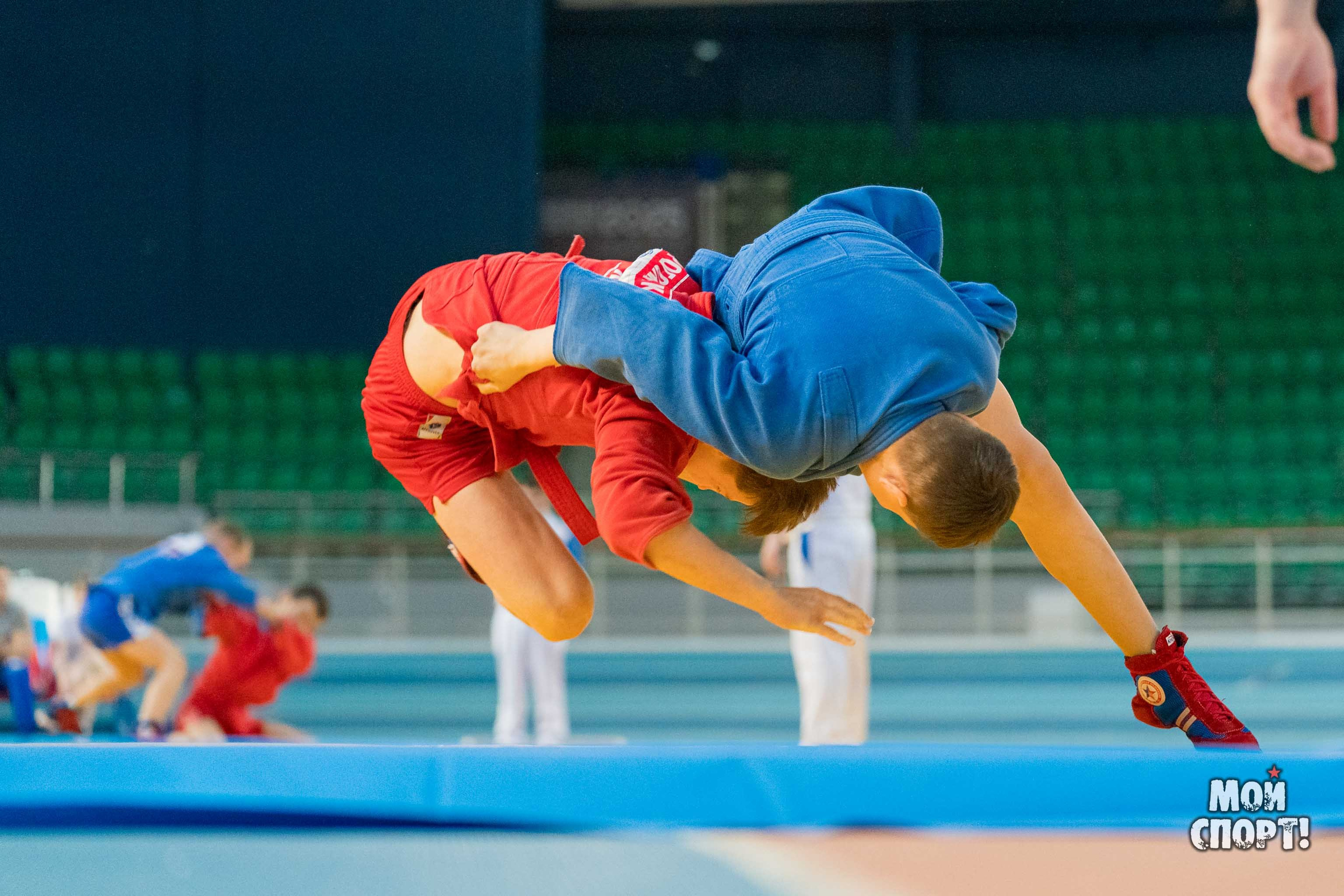 Всероссийские соревнования по самбо «Победа». Студия «Мой Спорт!» — все о спорте в Якутии