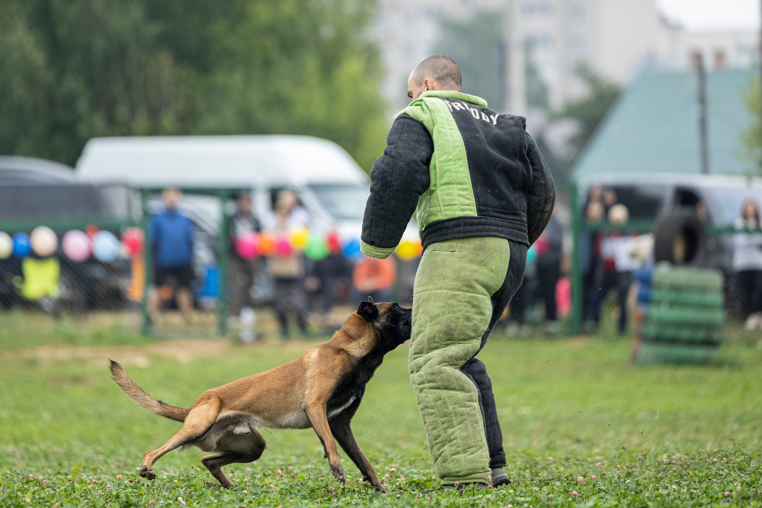 Соревнования по Мондьорингу г. Вологда 10-11.08.2024. Фотограф-анималист Анна Маринич