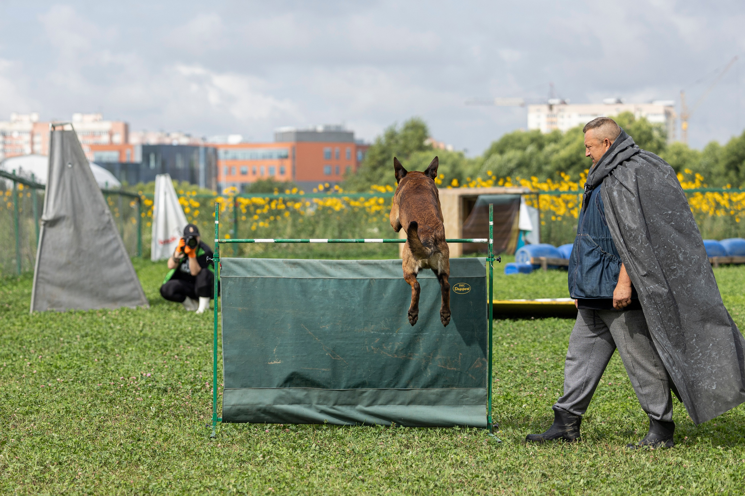 Соревнования по Мондьорингу г. Вологда 10-11.08.2024. Фотограф-анималист Анна Маринич
