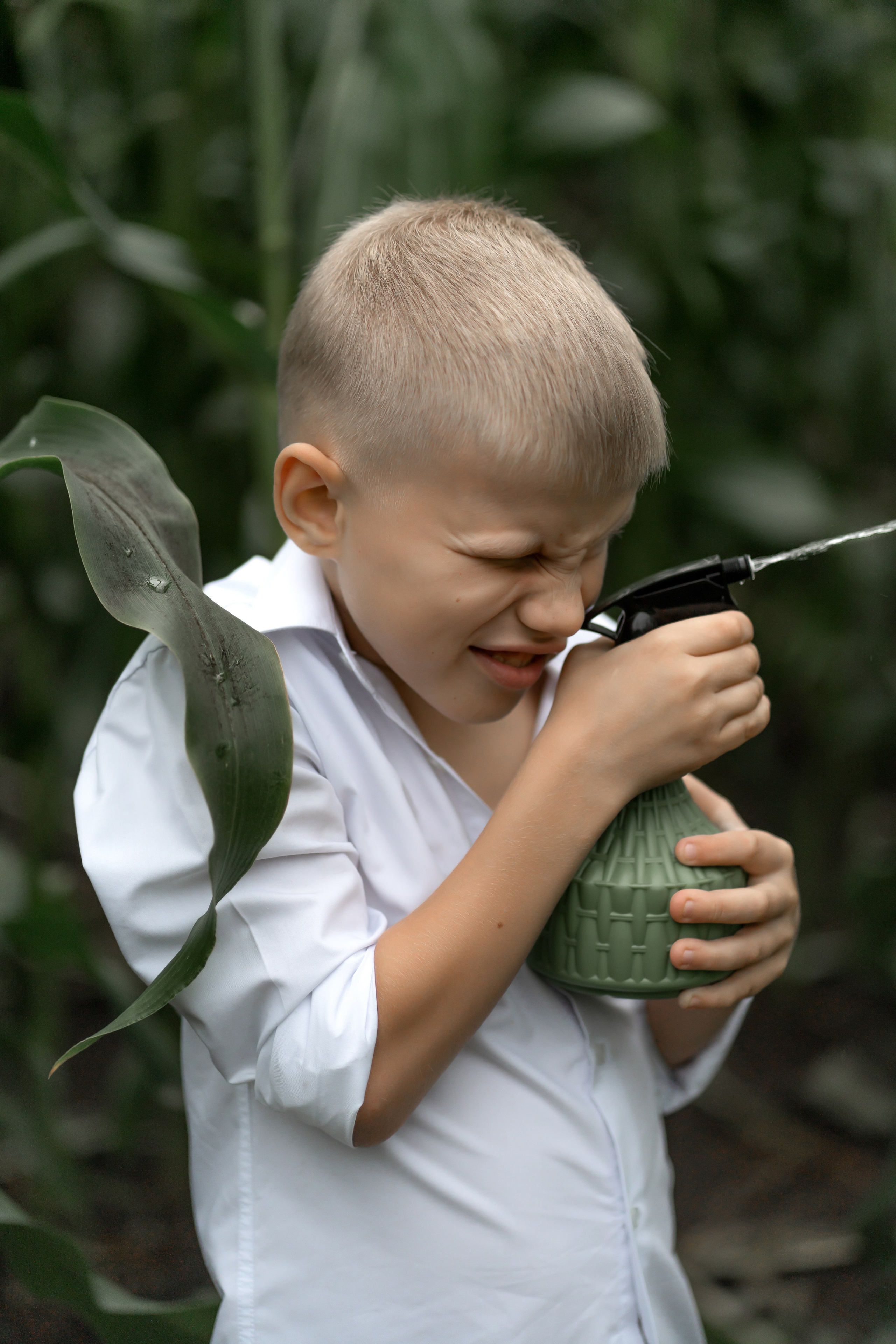 Прогулка в кукурузе. Фотограф в Красноярске. Юлия Чаушанская