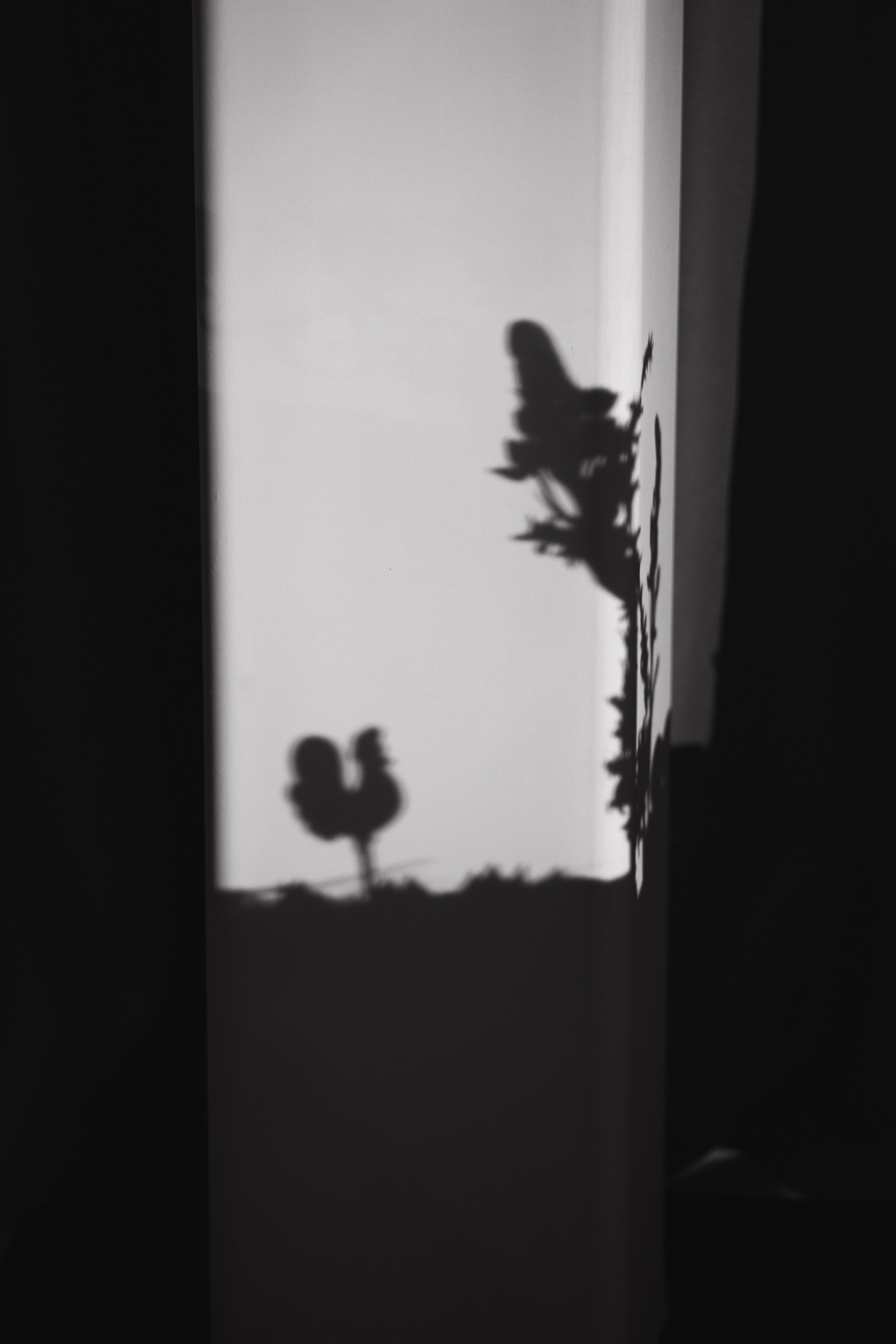 Ева и Виталий. Коваленко Алена │ Фотограф