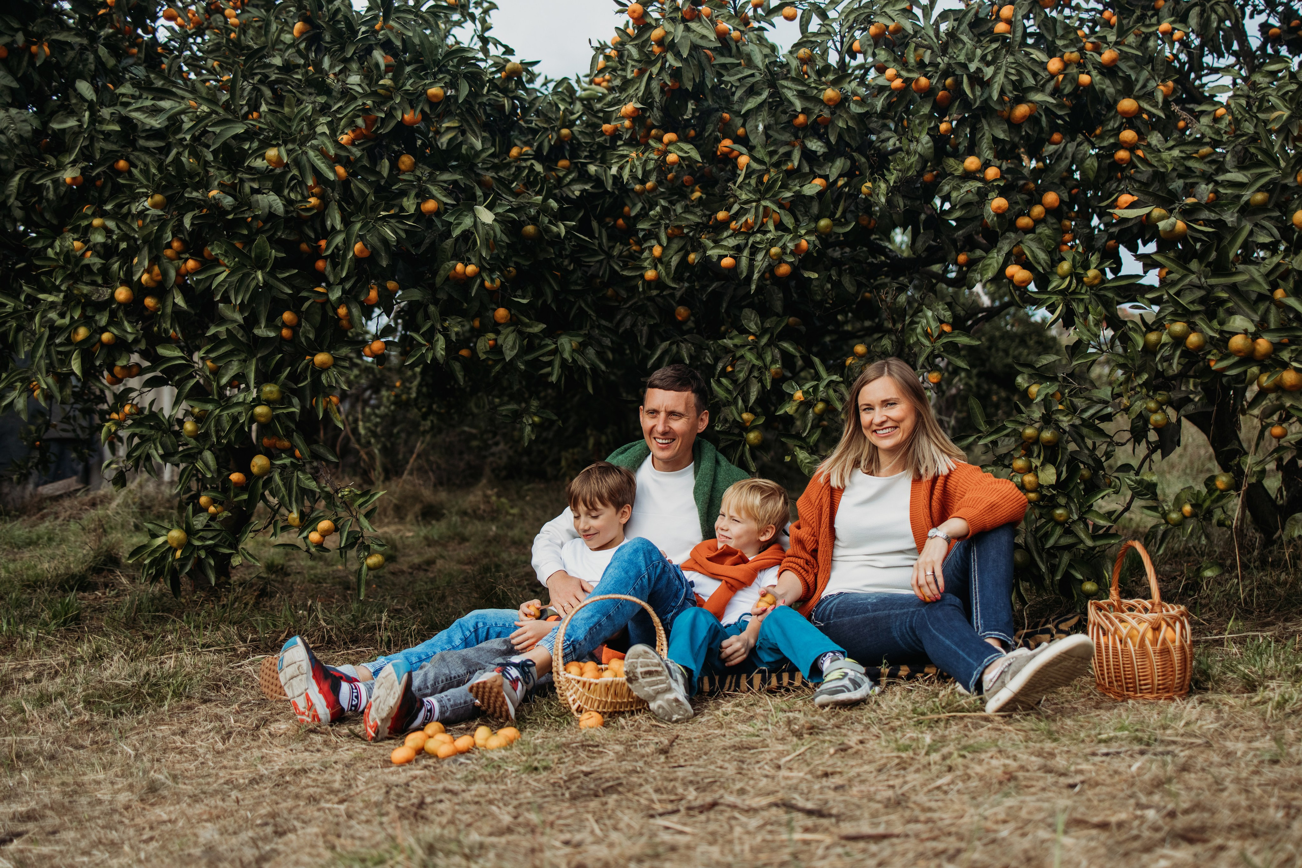 Мандариновая роща. Фотограф Сочи Татьяна Зорина