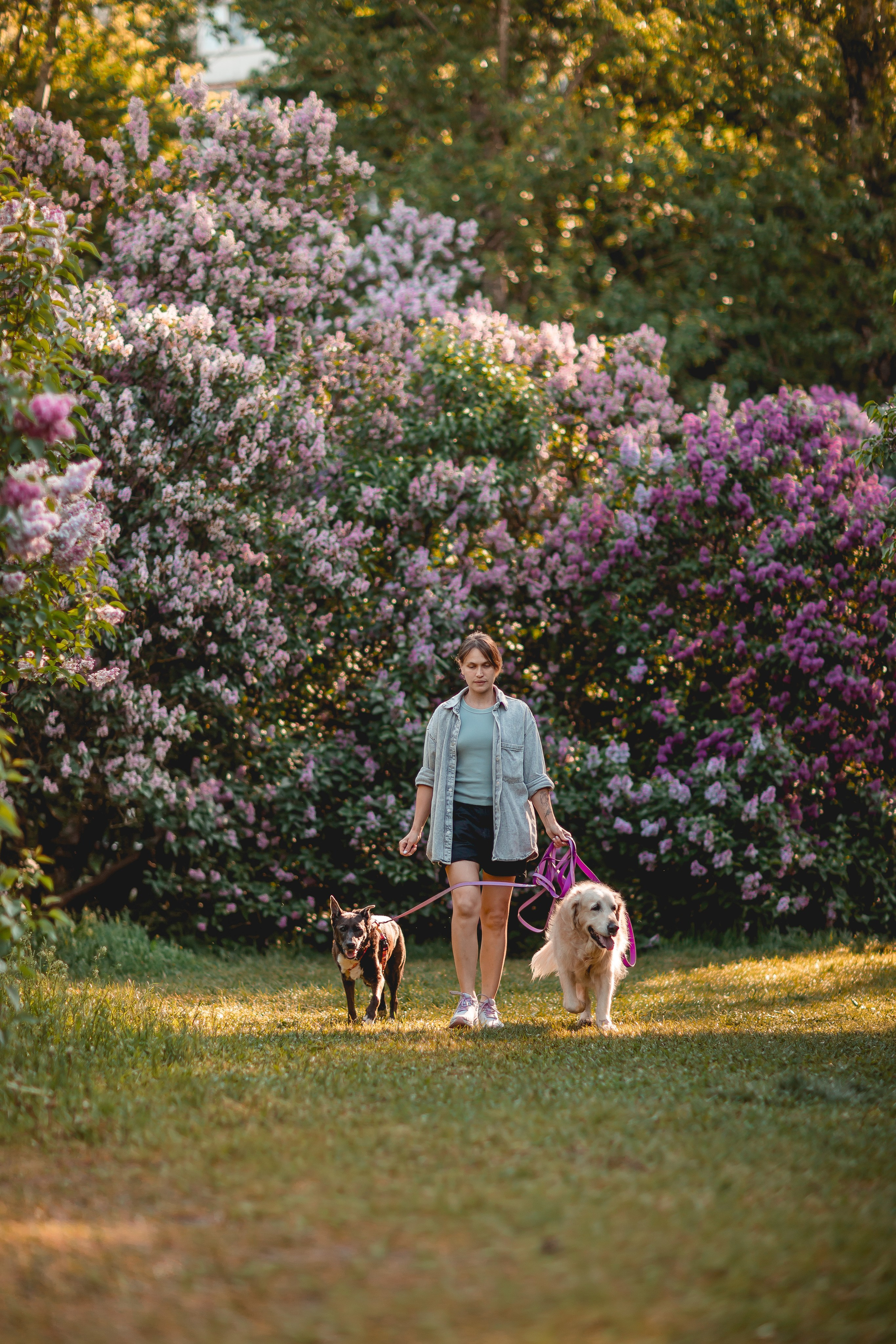 Ира, Альма и Белла. Семейный фотограф анималист Мария Крючкова