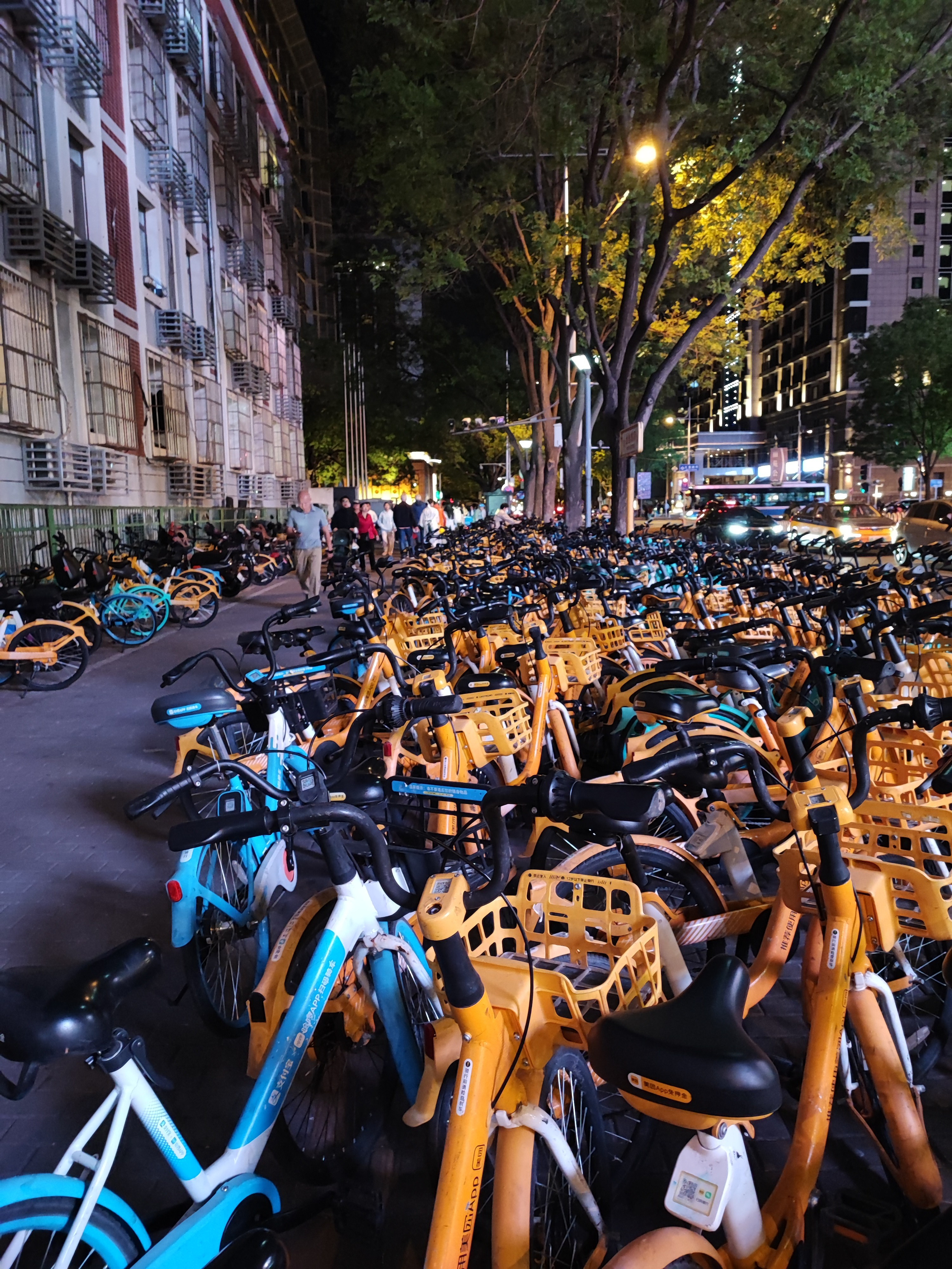 Намобилкус китайский. Репортажный фотограф Алексей Пирязев
