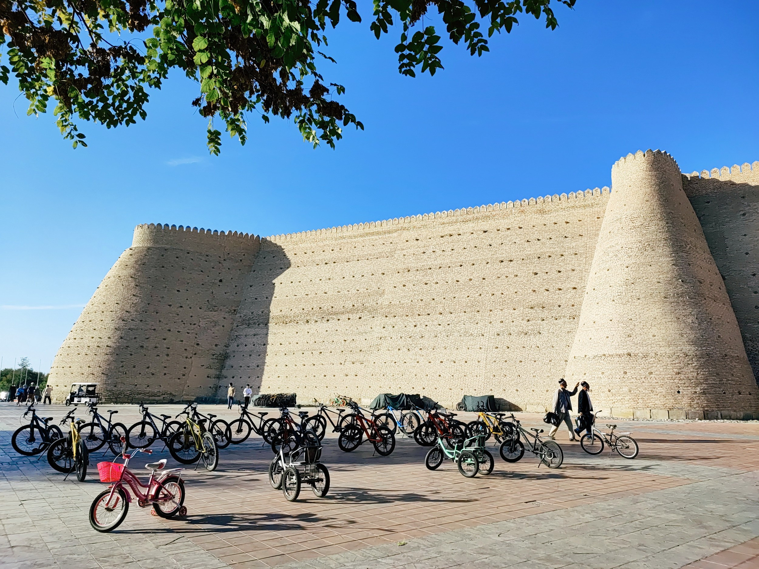 Намобилкус узбекский. Репортажный фотограф Алексей Пирязев
