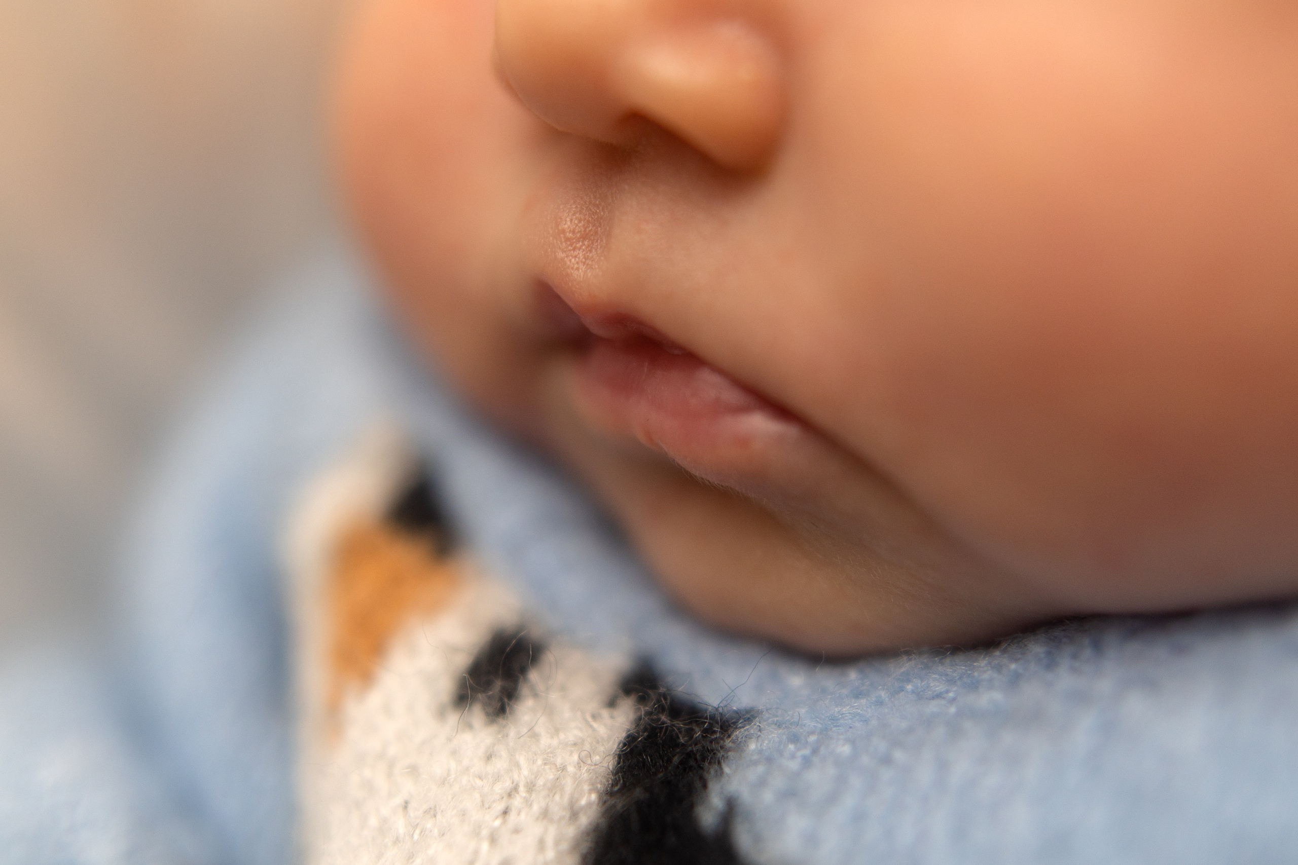 Фотосессия новорожденного в Санкт-Петербурге