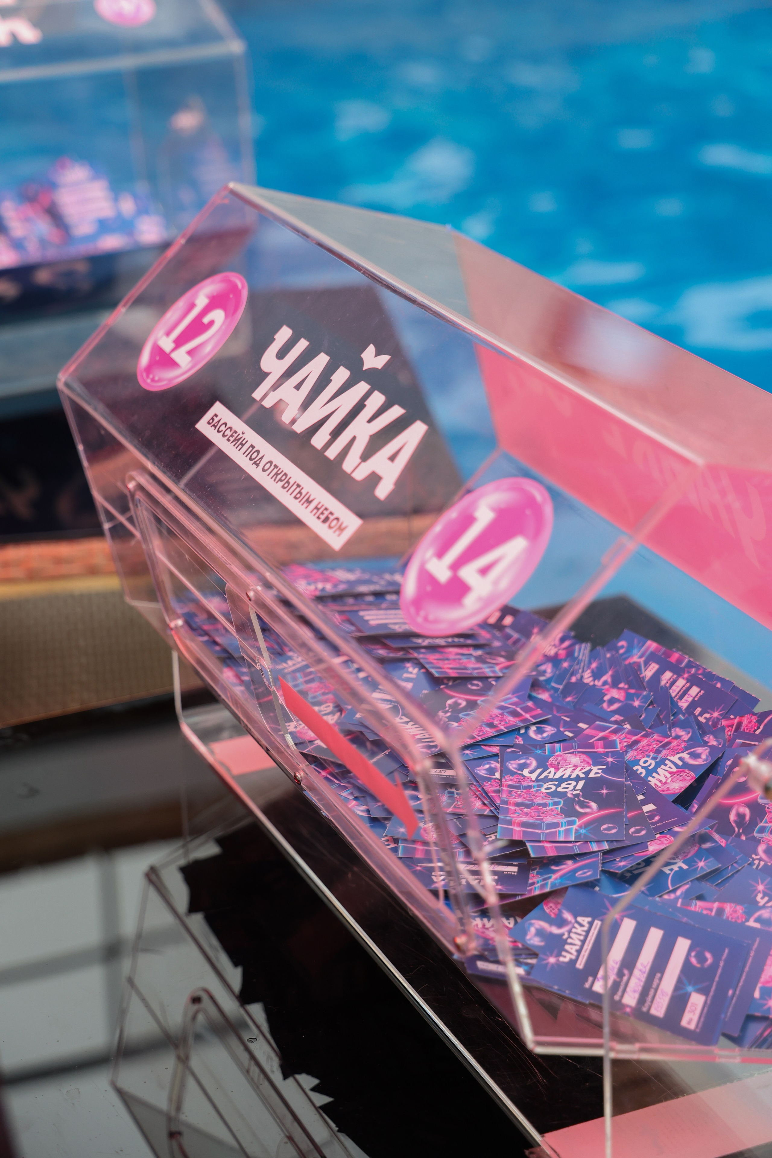 Анонс чайка. Фотограф и видеограф — Москва