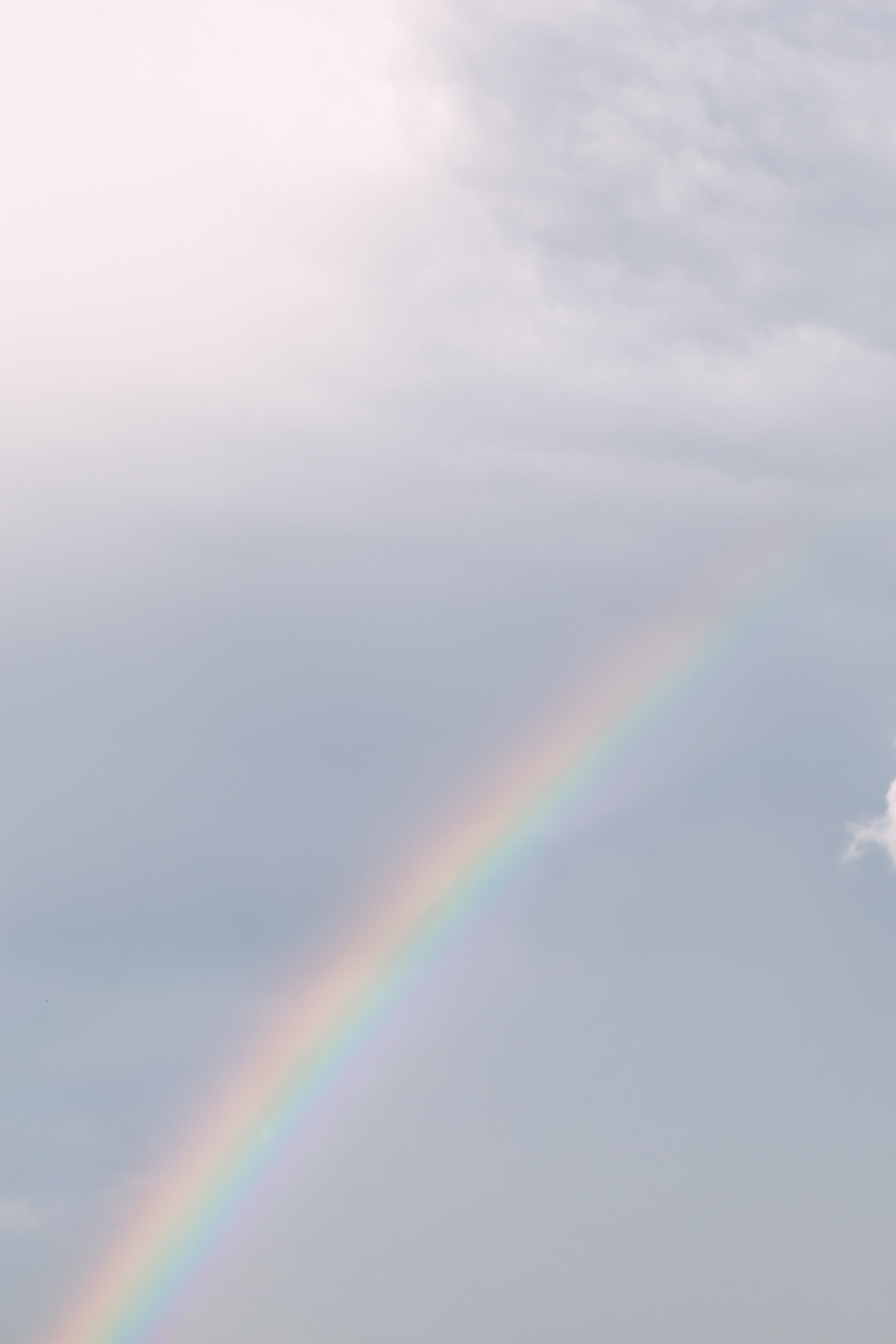 Это по любви. Свадебный фотограф |Орел|Москва Анна Плешкова